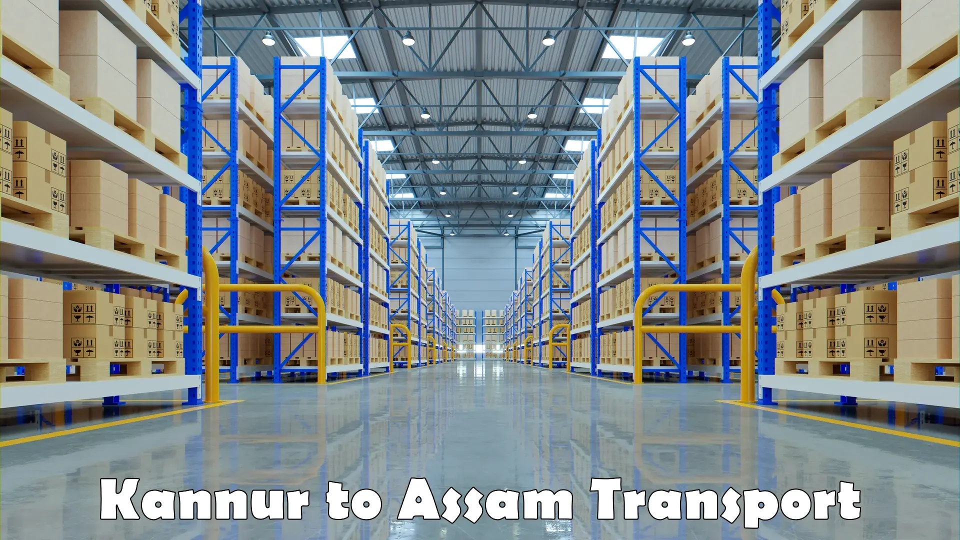 Air cargo transport services Kannur to Assam
