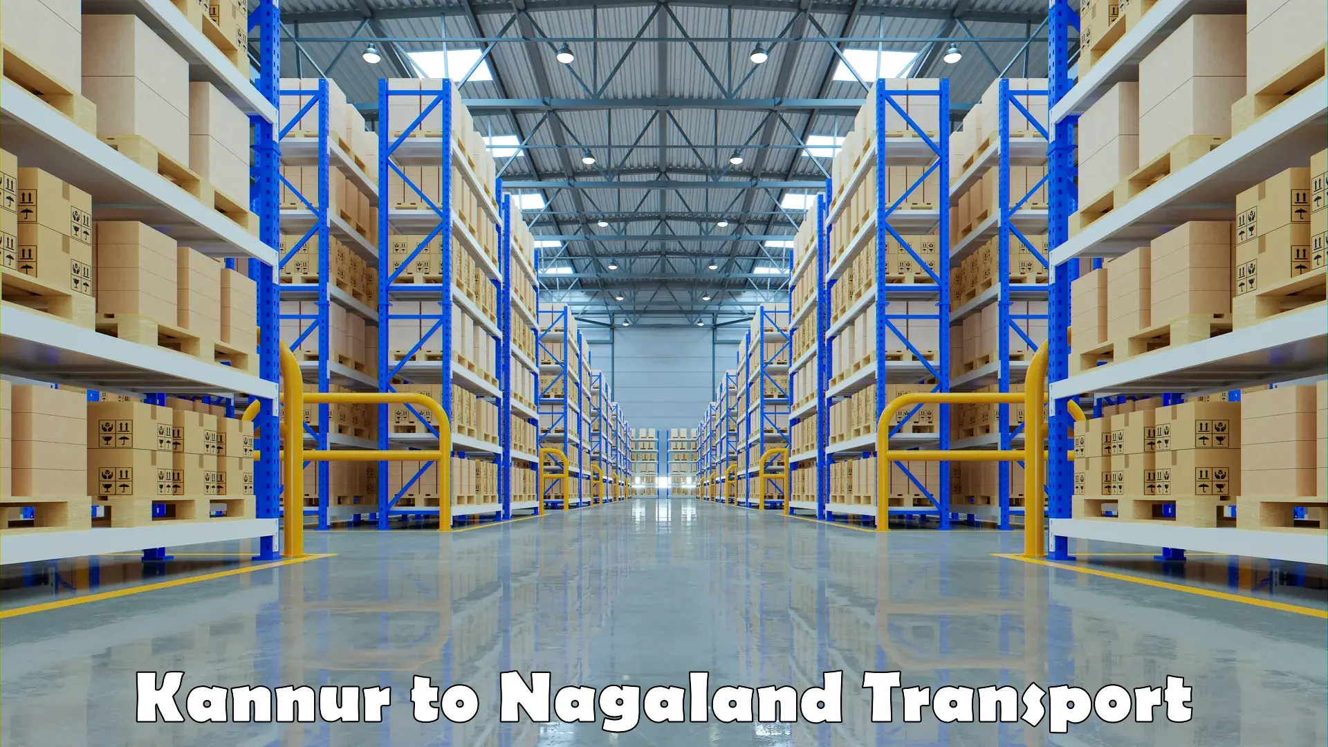 Luggage transport services Kannur to Nagaland