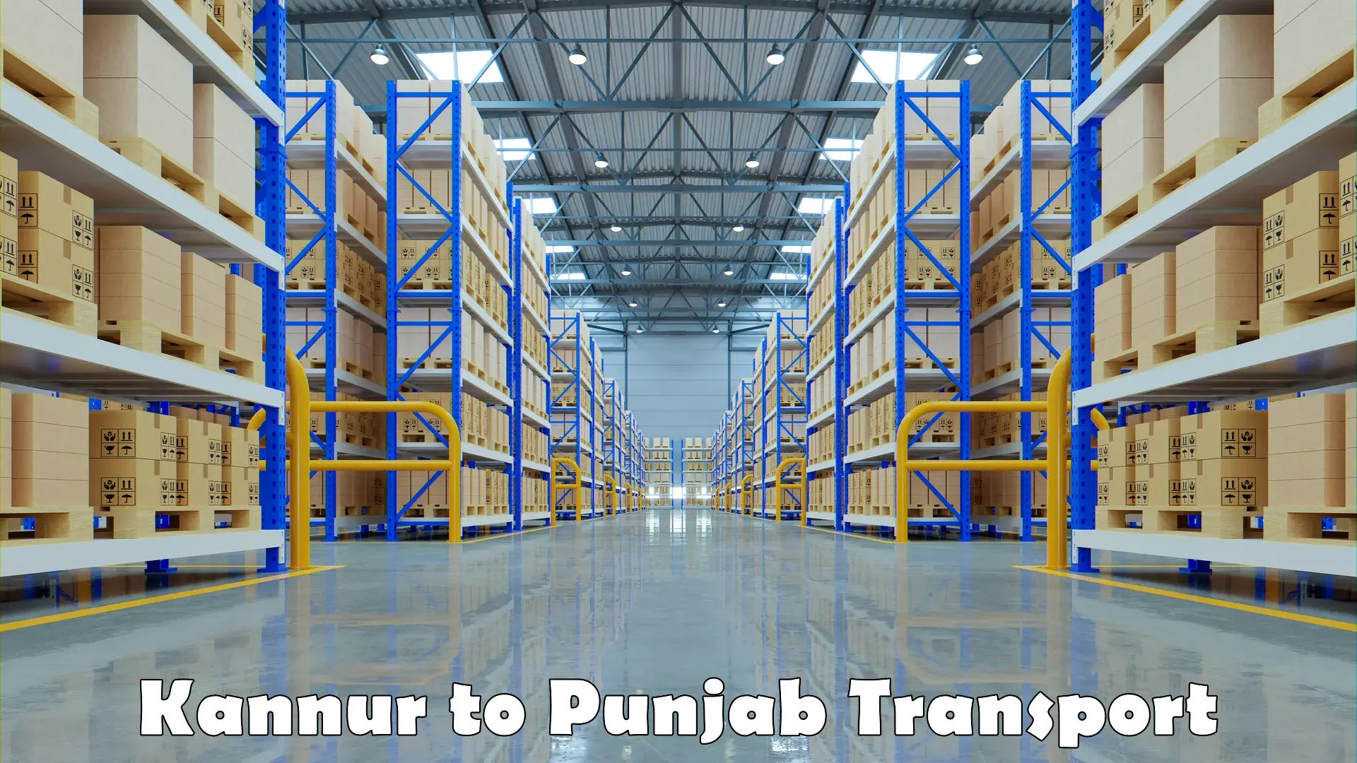 Cargo transport services Kannur to Punjab