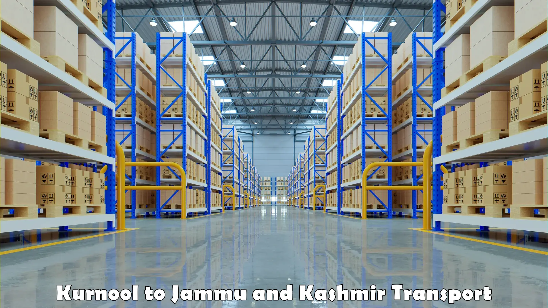 Express transport services Kurnool to Jammu and Kashmir