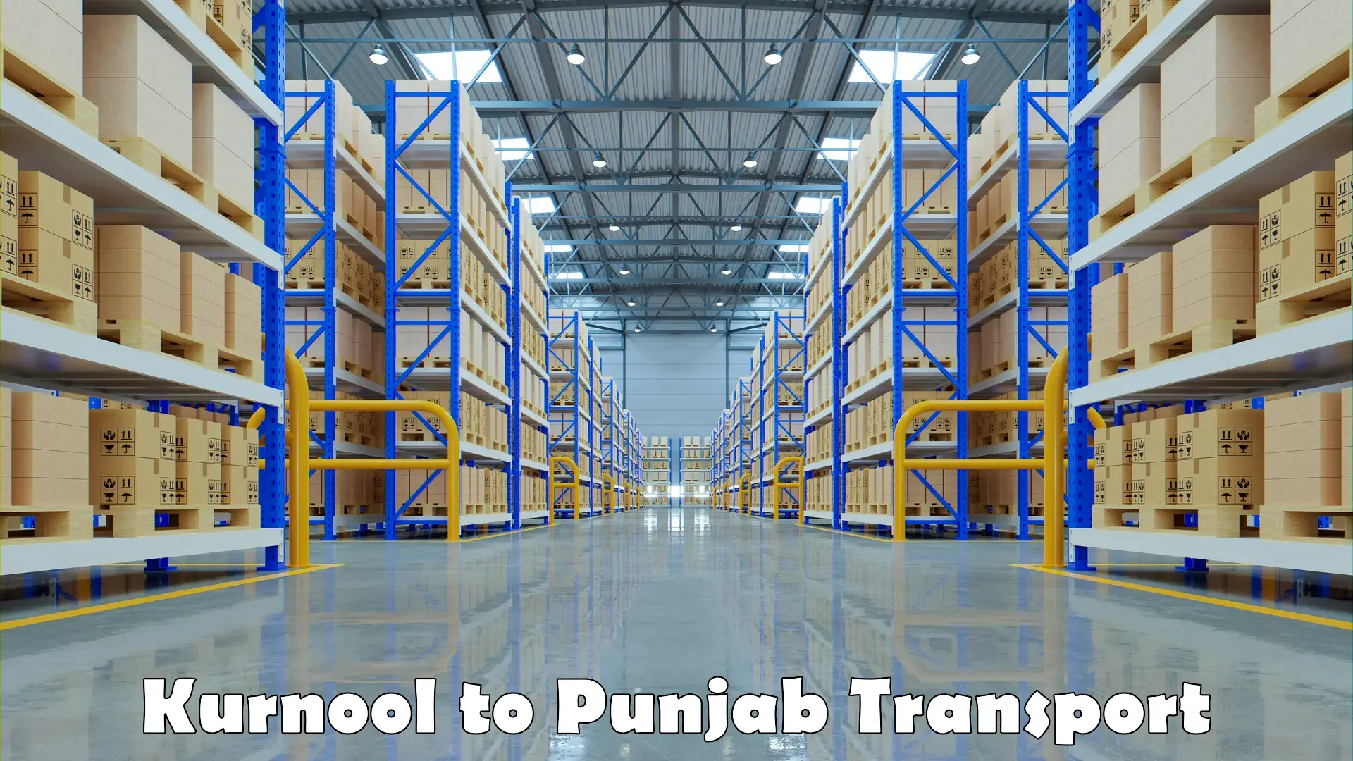 Domestic transport services Kurnool to Pathankot