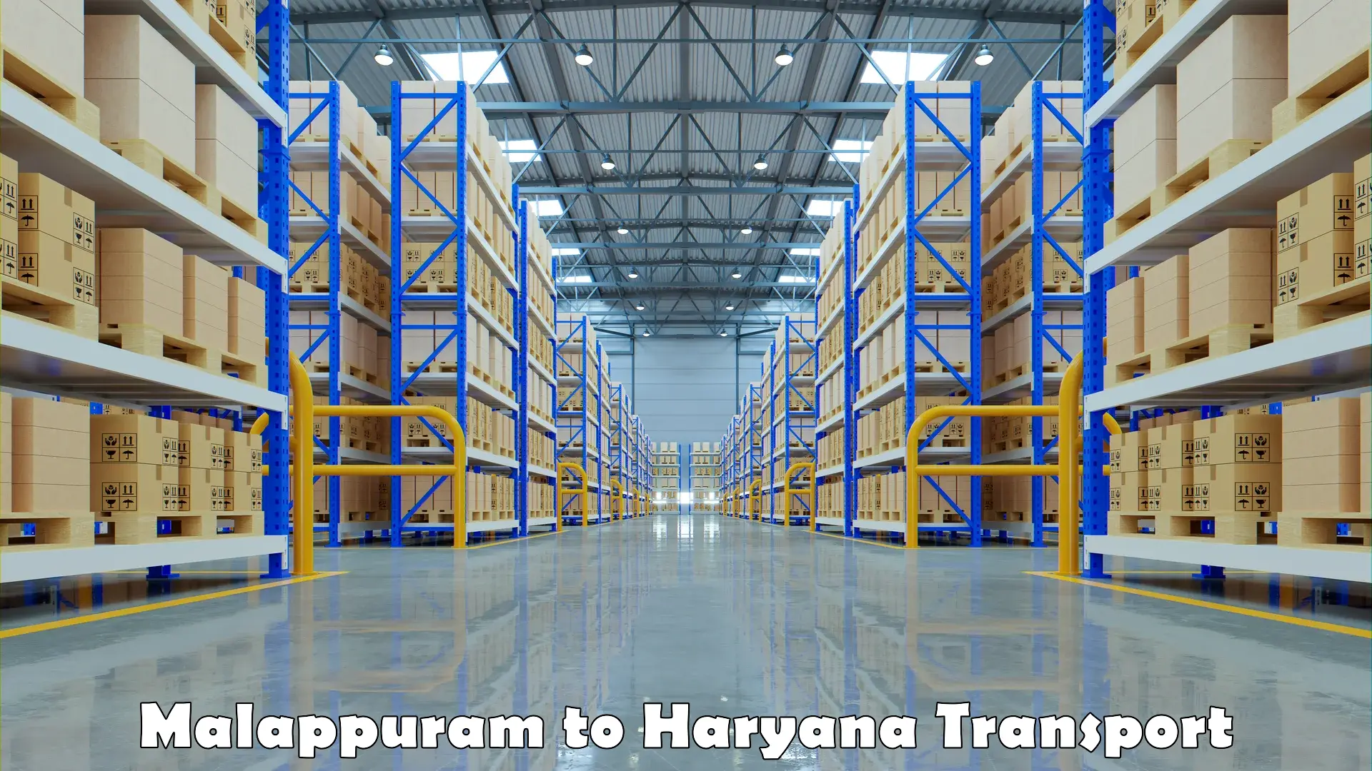 Scooty parcel Malappuram to Haryana