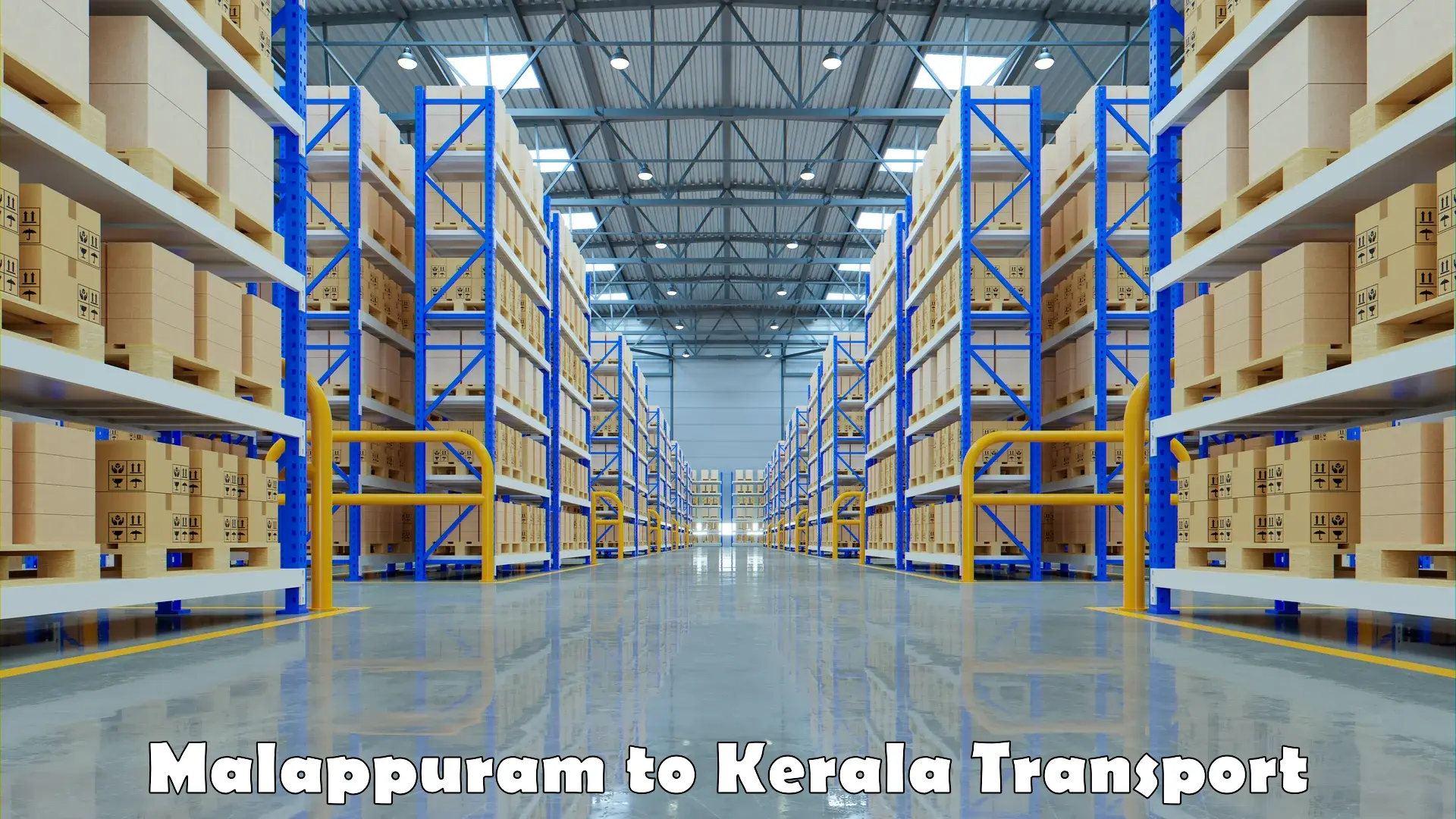 Container transport service Malappuram to Nallepilly