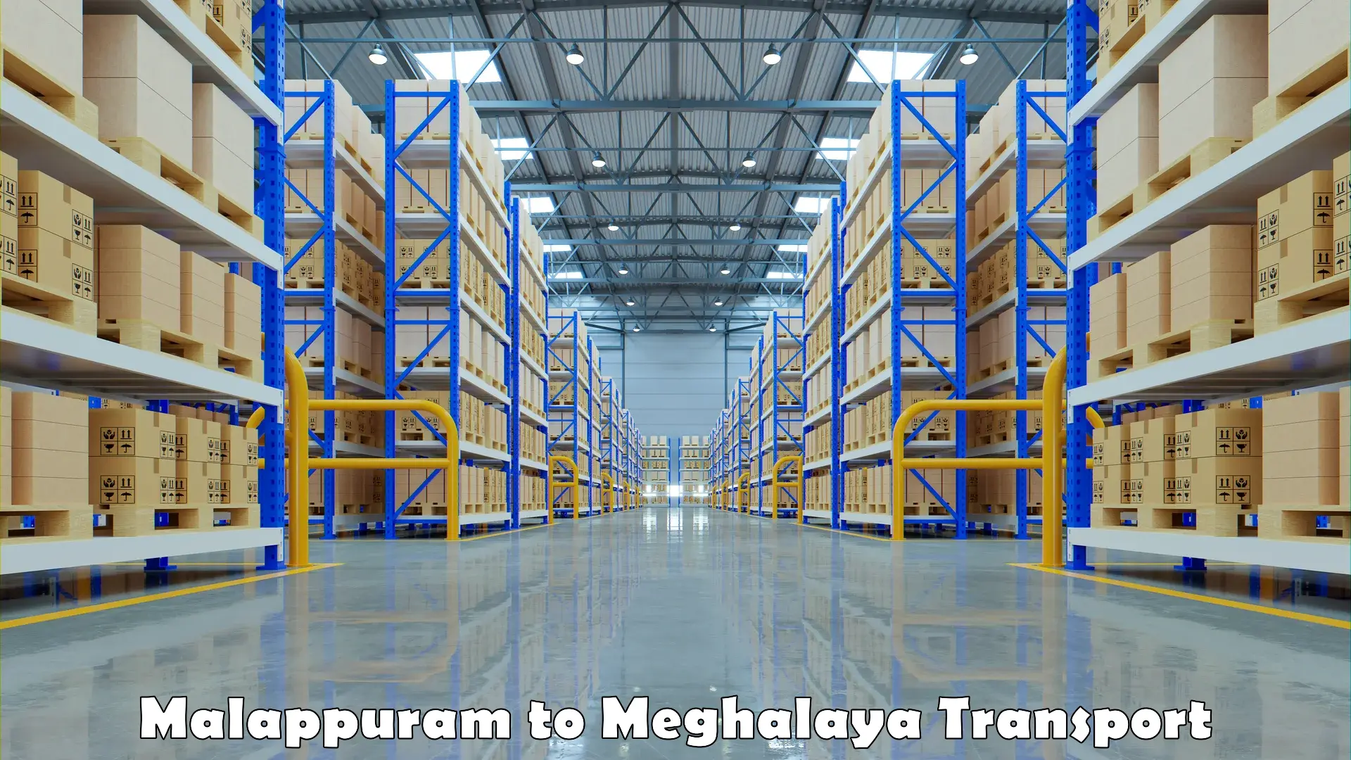Air freight transport services Malappuram to Nongstoin