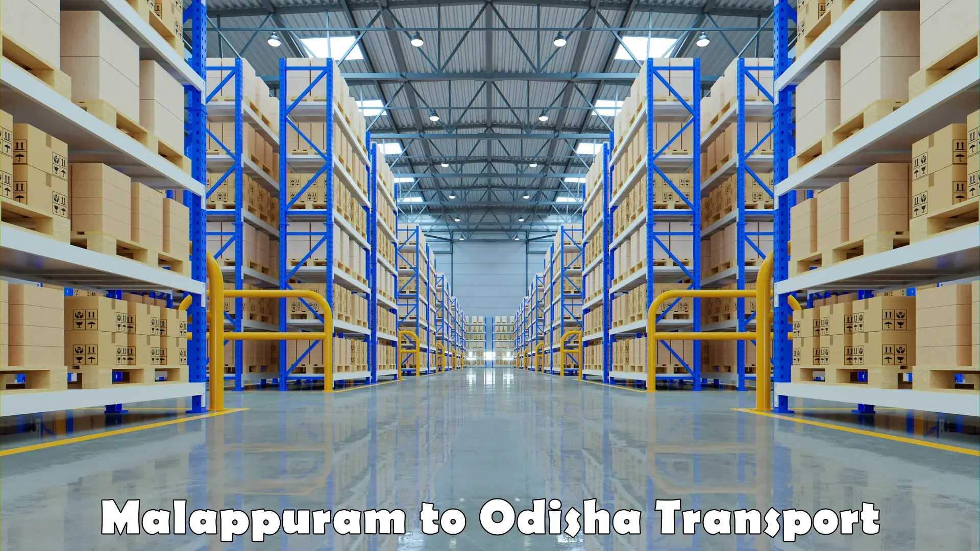 Container transport service Malappuram to Odisha