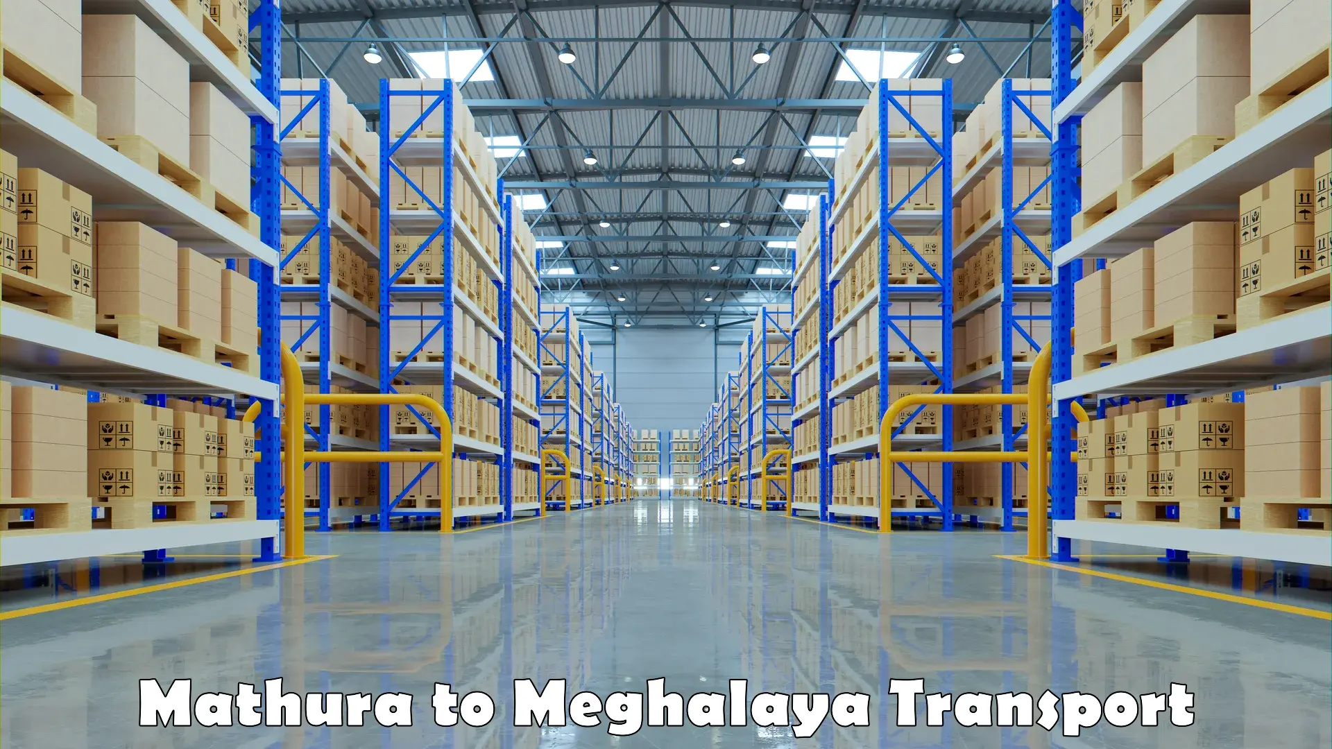 Intercity goods transport Mathura to Meghalaya