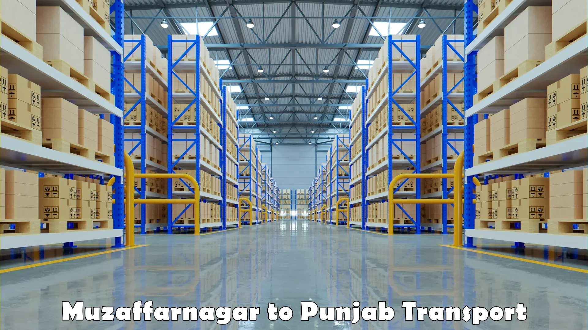 All India transport service Muzaffarnagar to Punjab