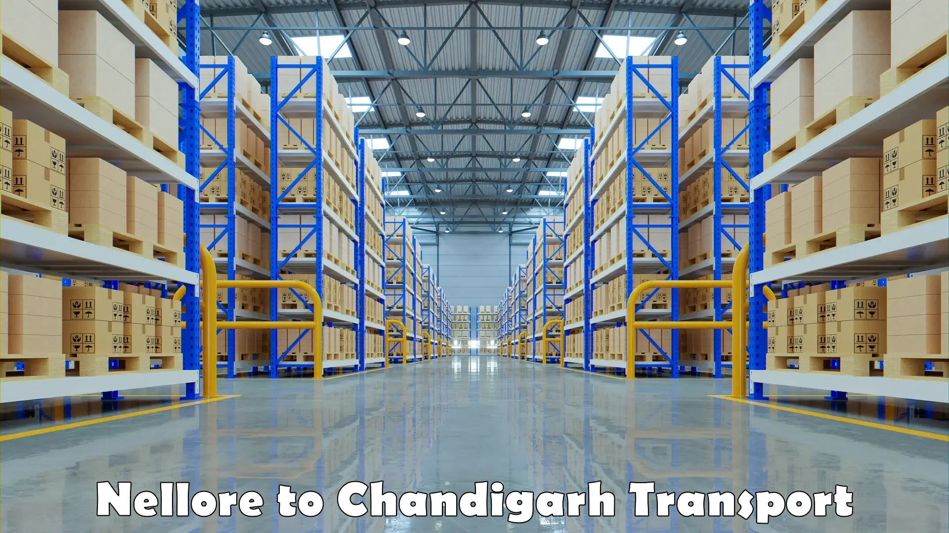 Road transport services Nellore to Chandigarh