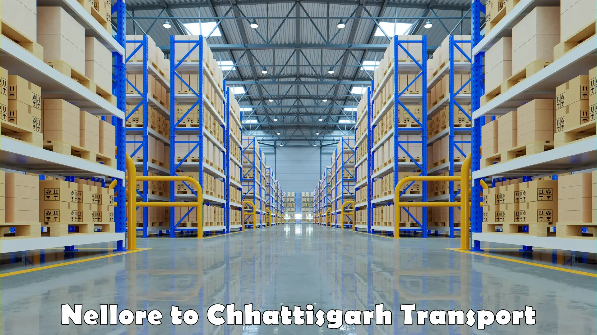 Online transport Nellore to Chhattisgarh