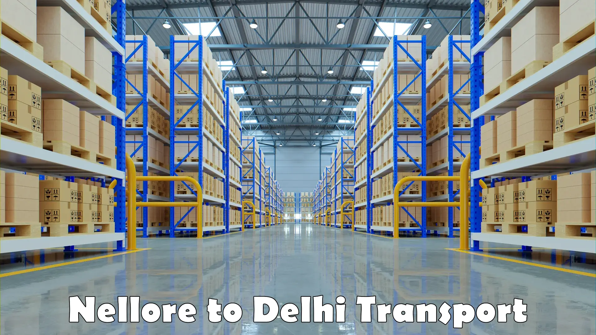 Best transport services in India Nellore to Delhi