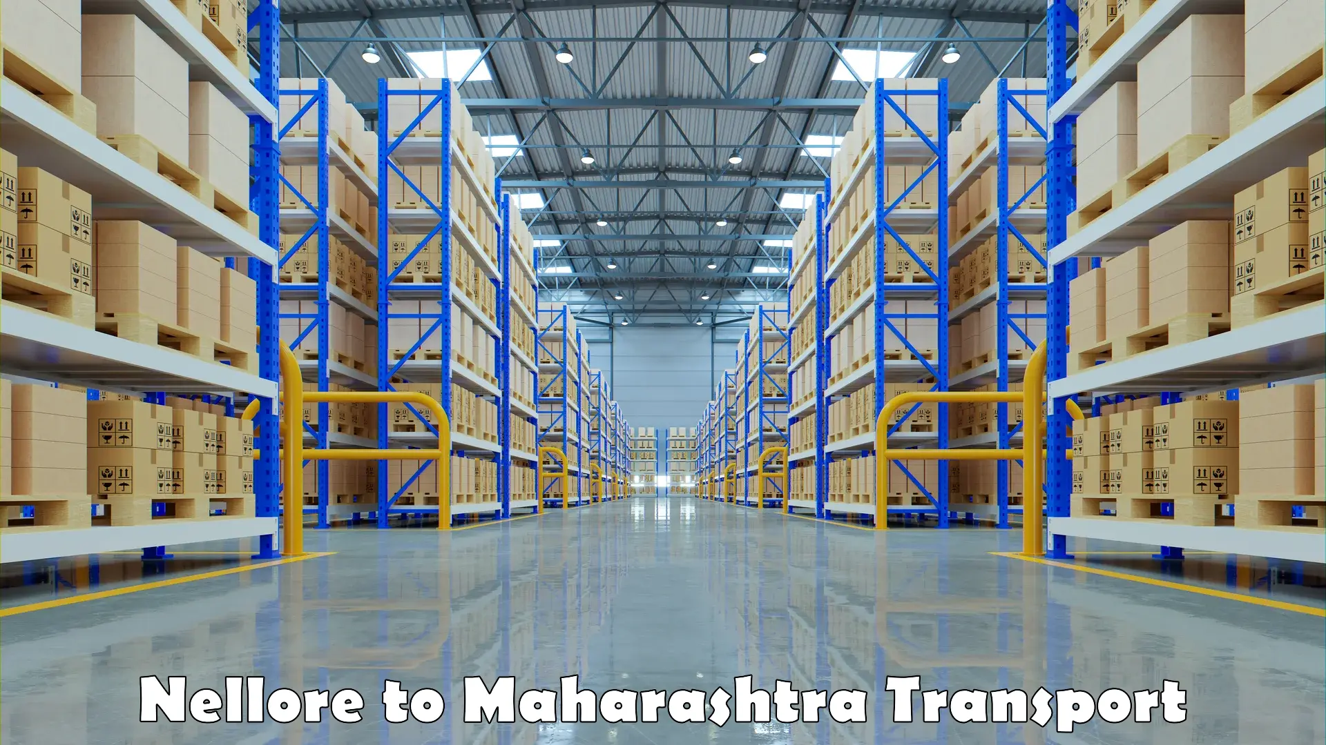 Commercial transport service Nellore to Maharashtra