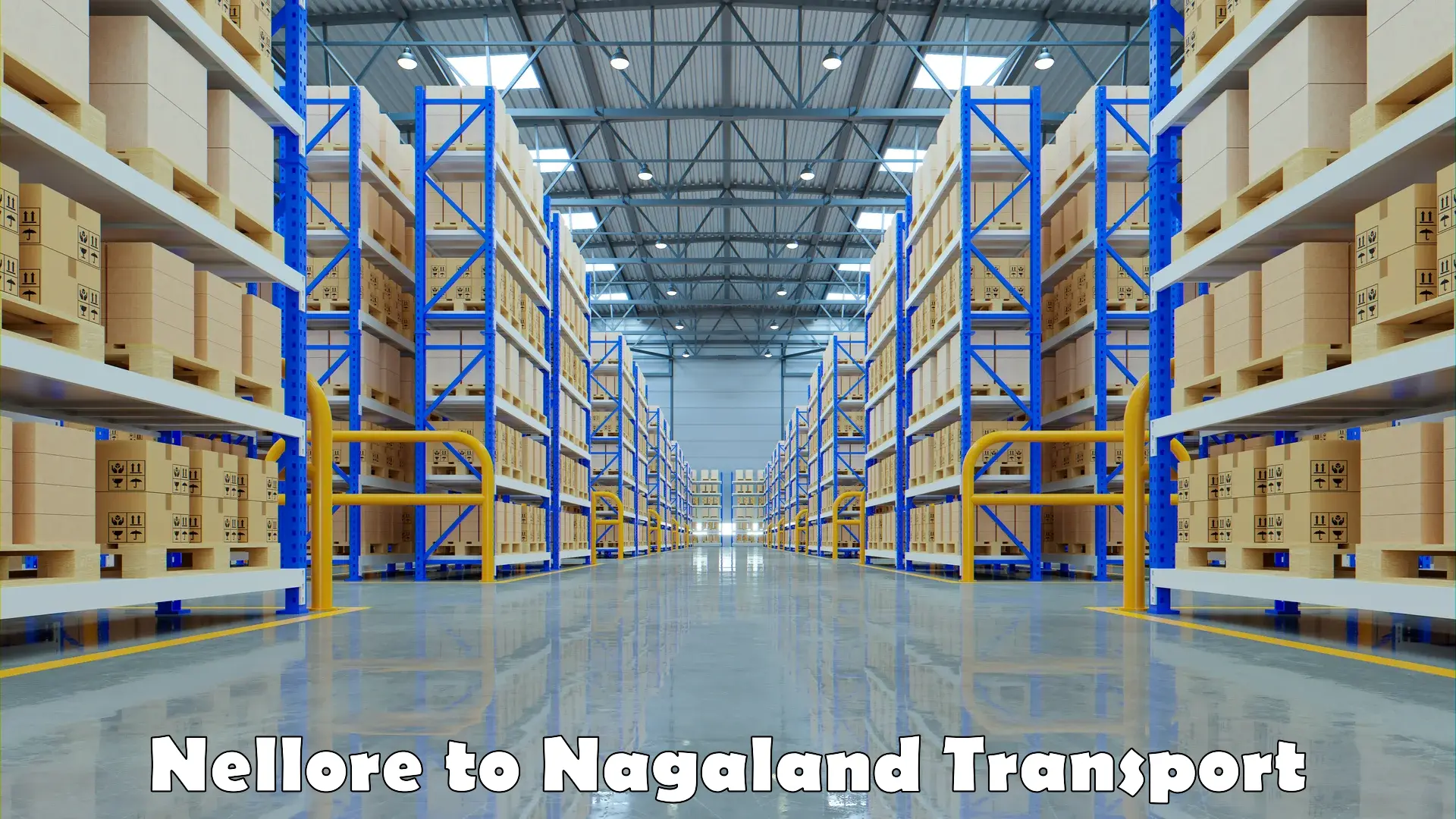 Online transport service Nellore to Nagaland