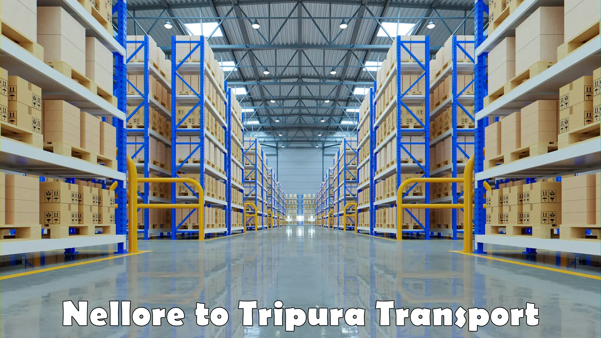 Daily parcel service transport Nellore to Tripura