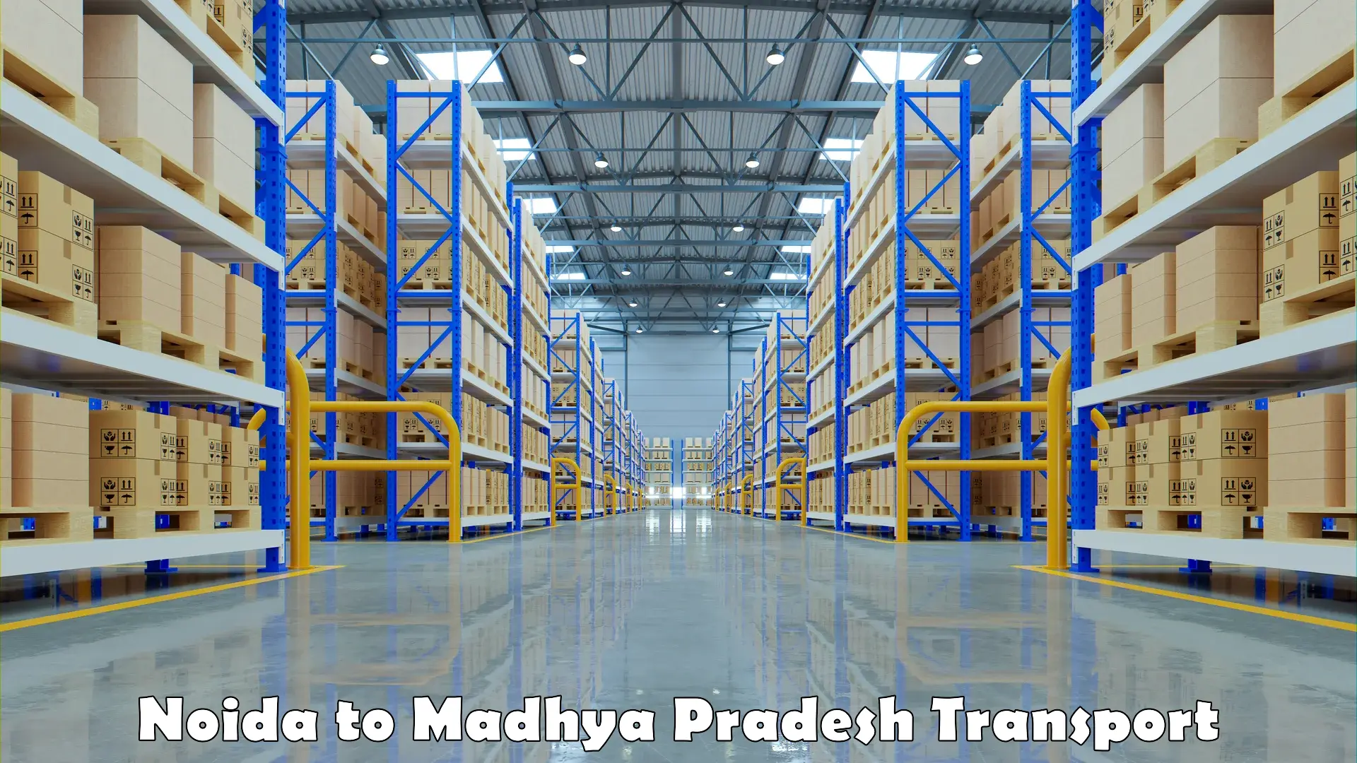 Cargo transport services Noida to Satna