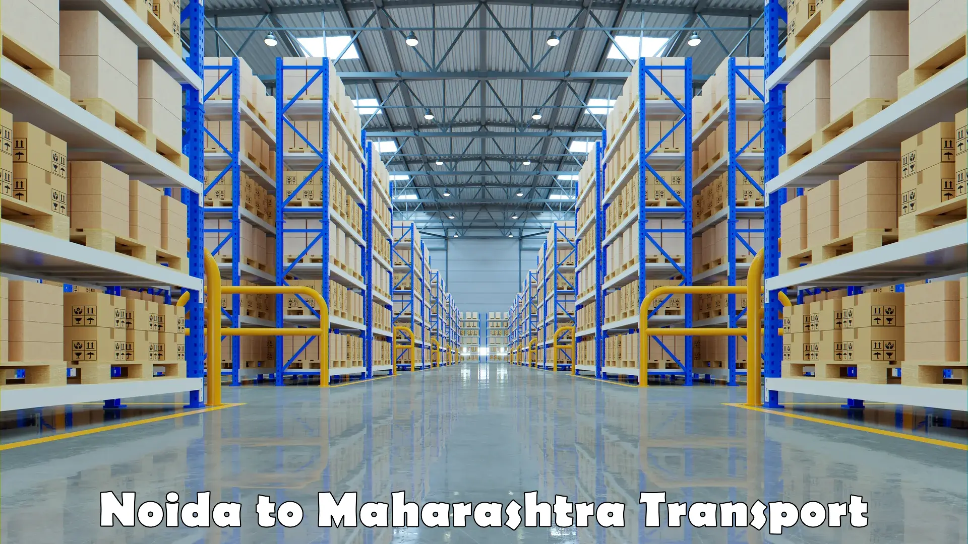 Road transport services in Noida to Shegaon