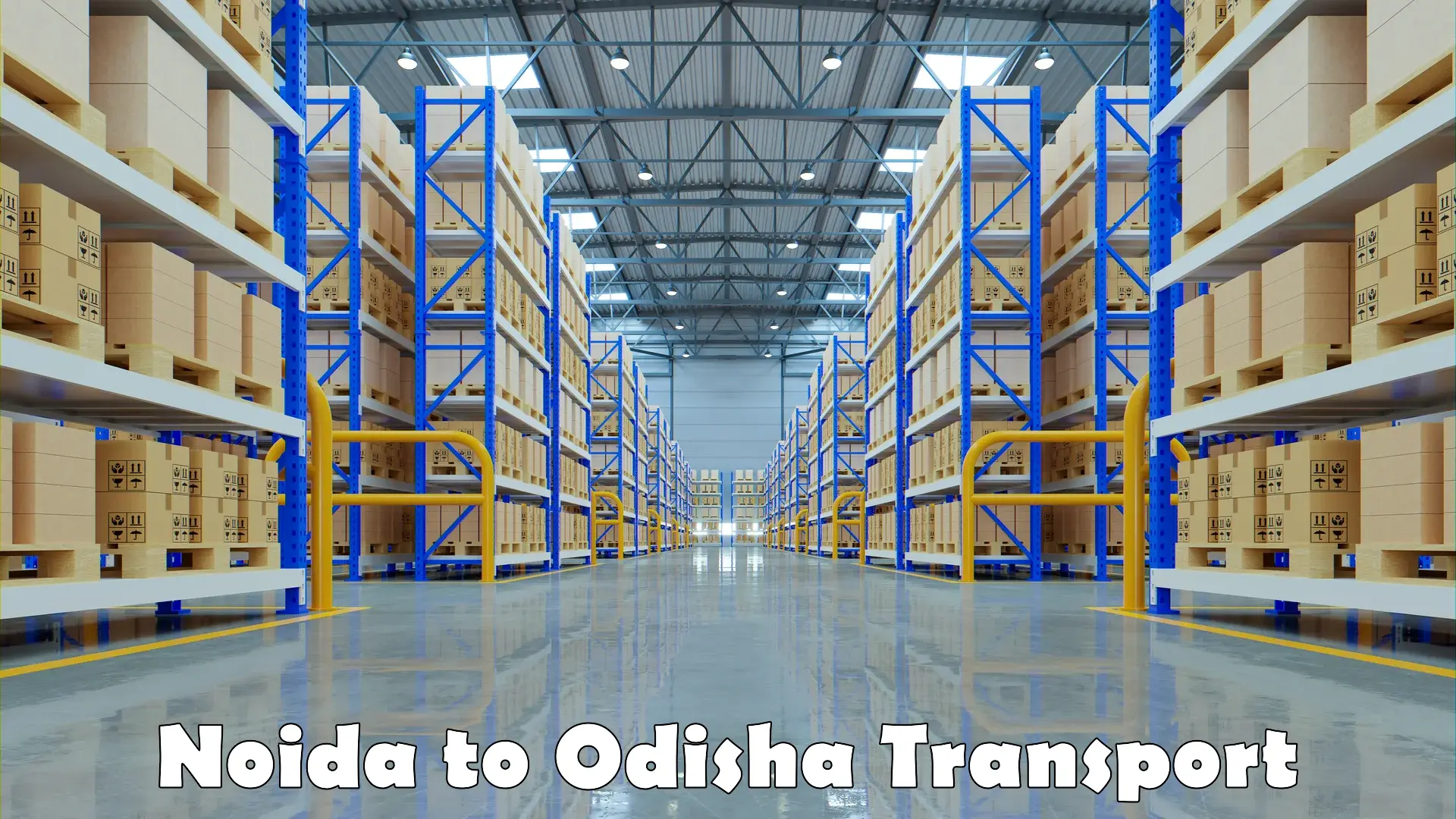 Daily transport service Noida to Odisha