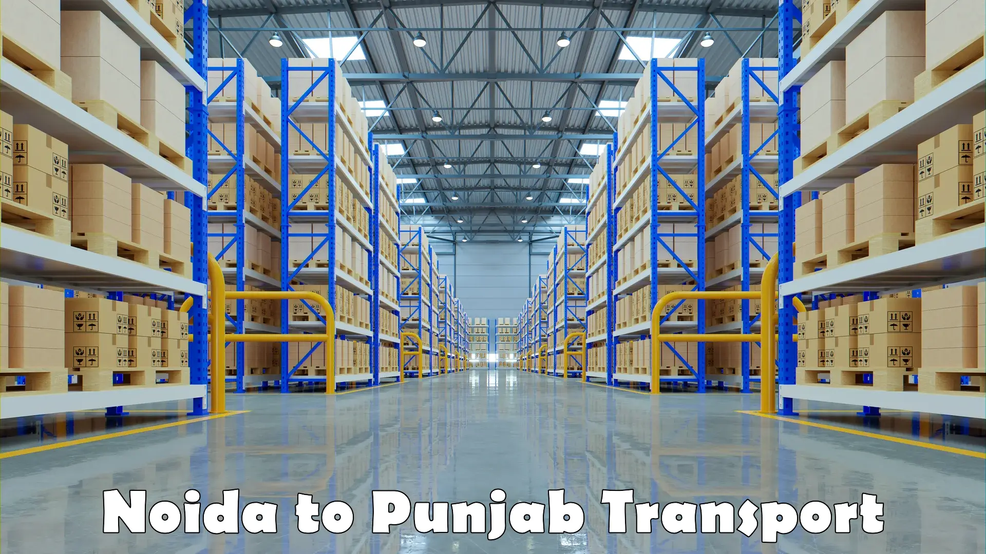 Two wheeler transport services Noida to Punjab Agricultural University Ludhiana