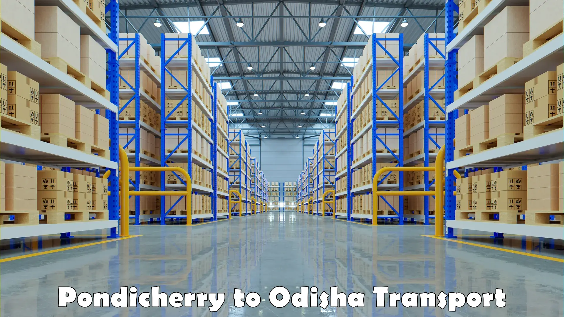 Package delivery services Pondicherry to Odisha
