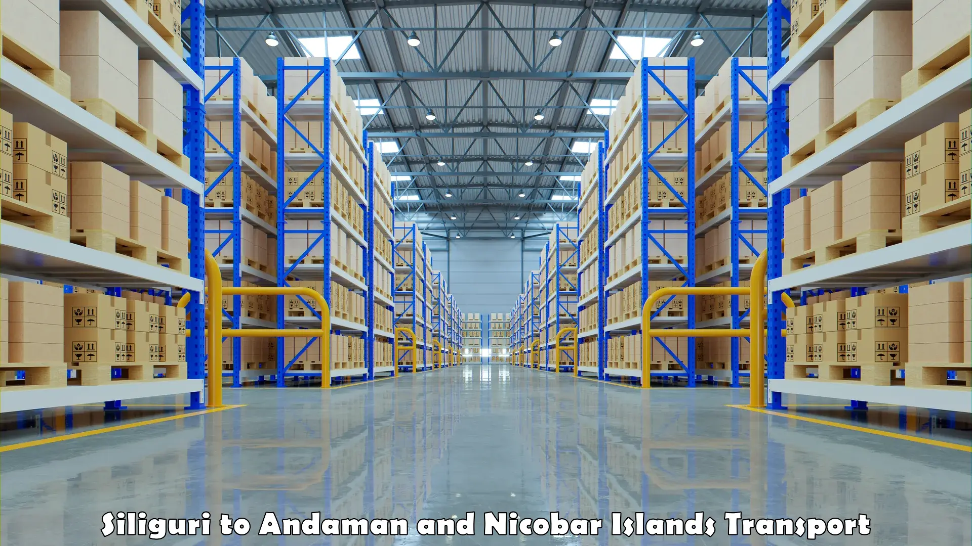 Part load transport service in India Siliguri to Andaman and Nicobar Islands