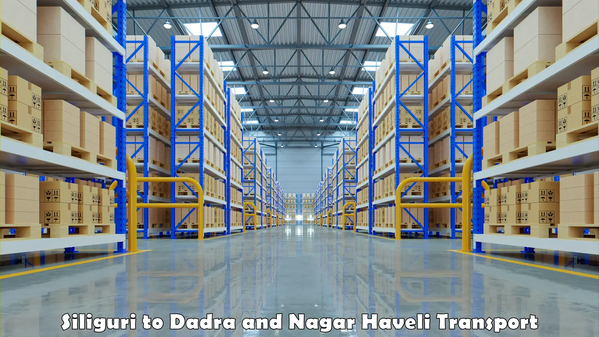 Material transport services Siliguri to Dadra and Nagar Haveli