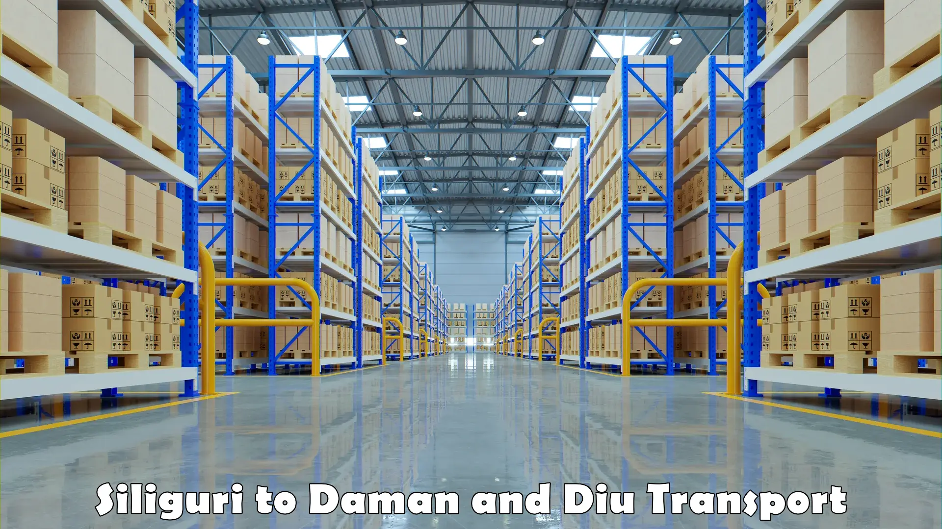 Intercity goods transport Siliguri to Daman and Diu