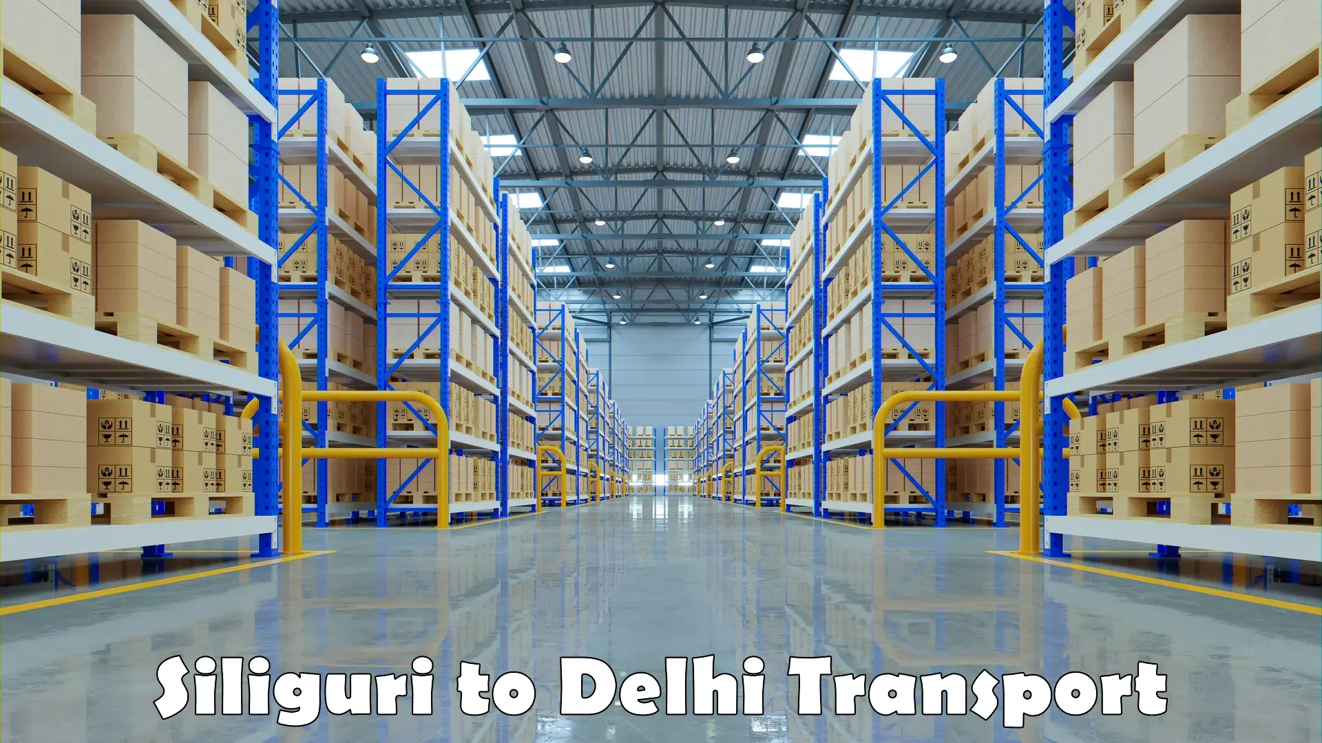 Transportation services Siliguri to Jamia Millia Islamia New Delhi