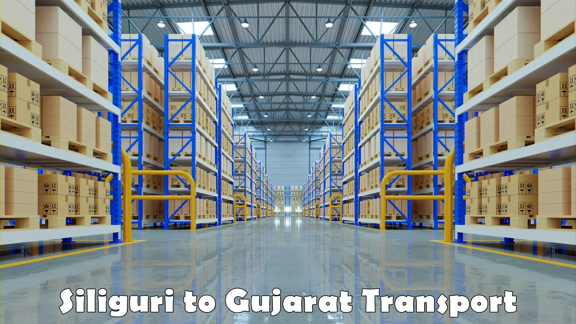 Goods transport services Siliguri to Gujarat