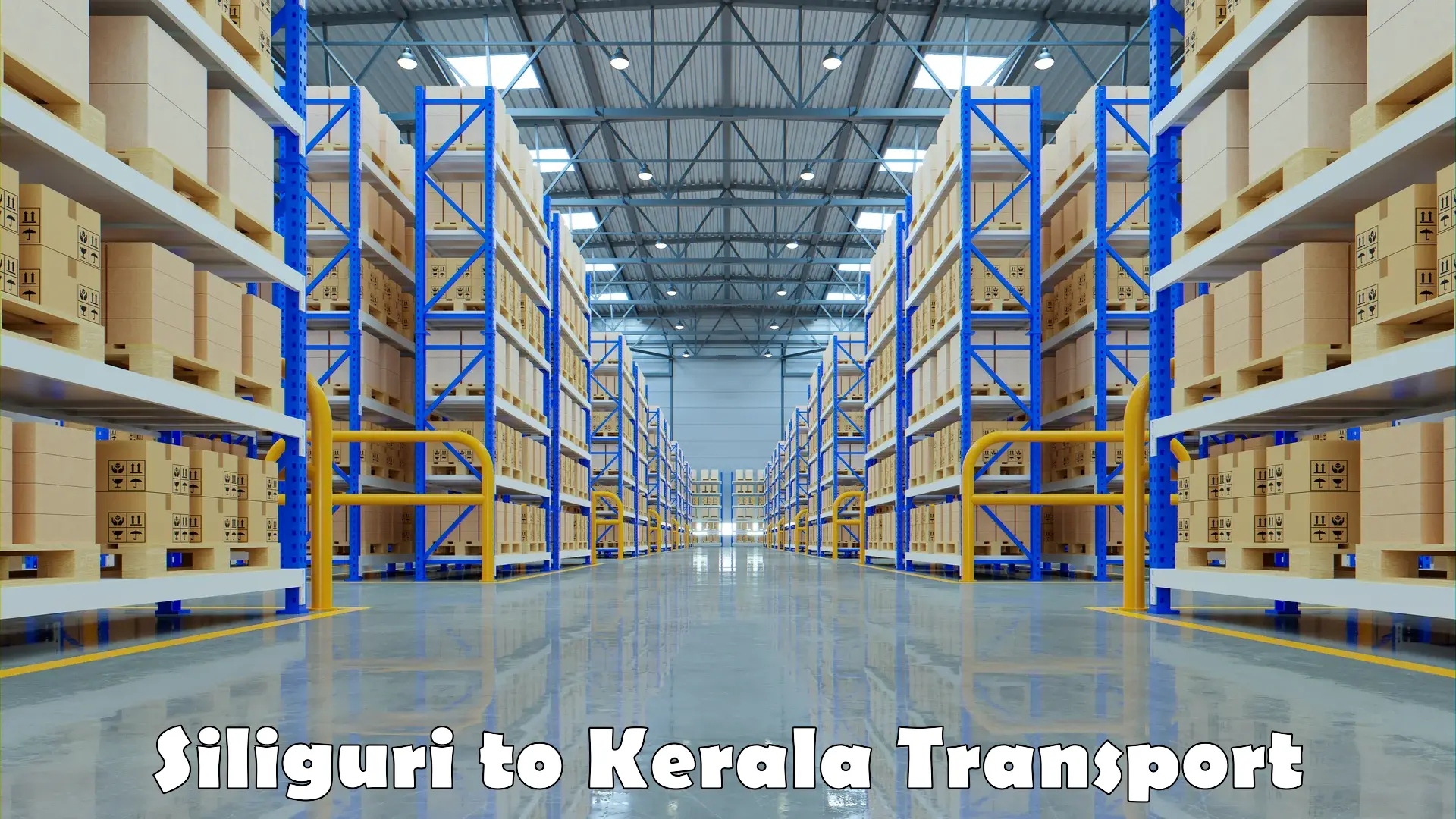 Road transport online services in Siliguri to Kerala