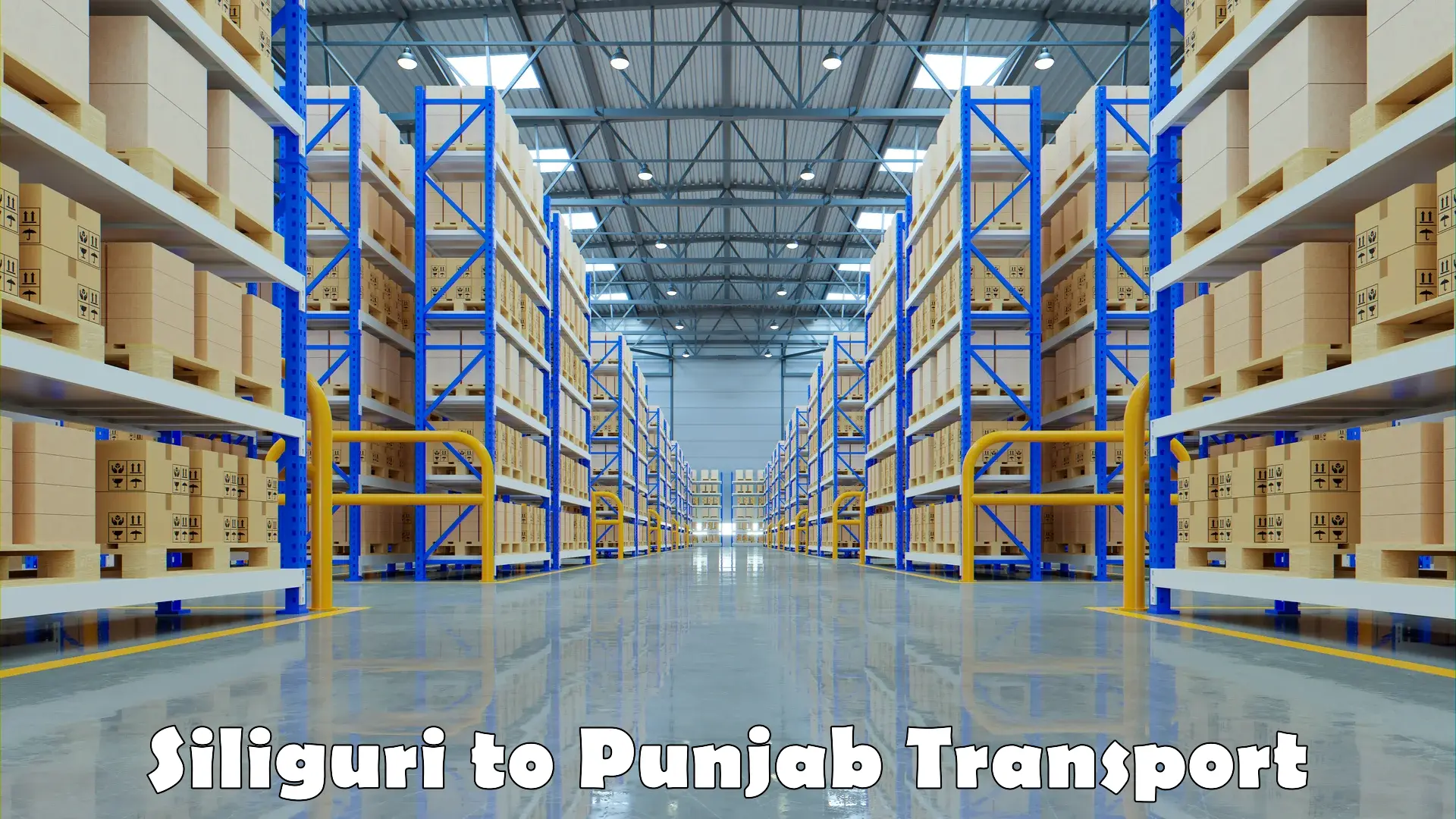 Part load transport service in India Siliguri to Jalandhar