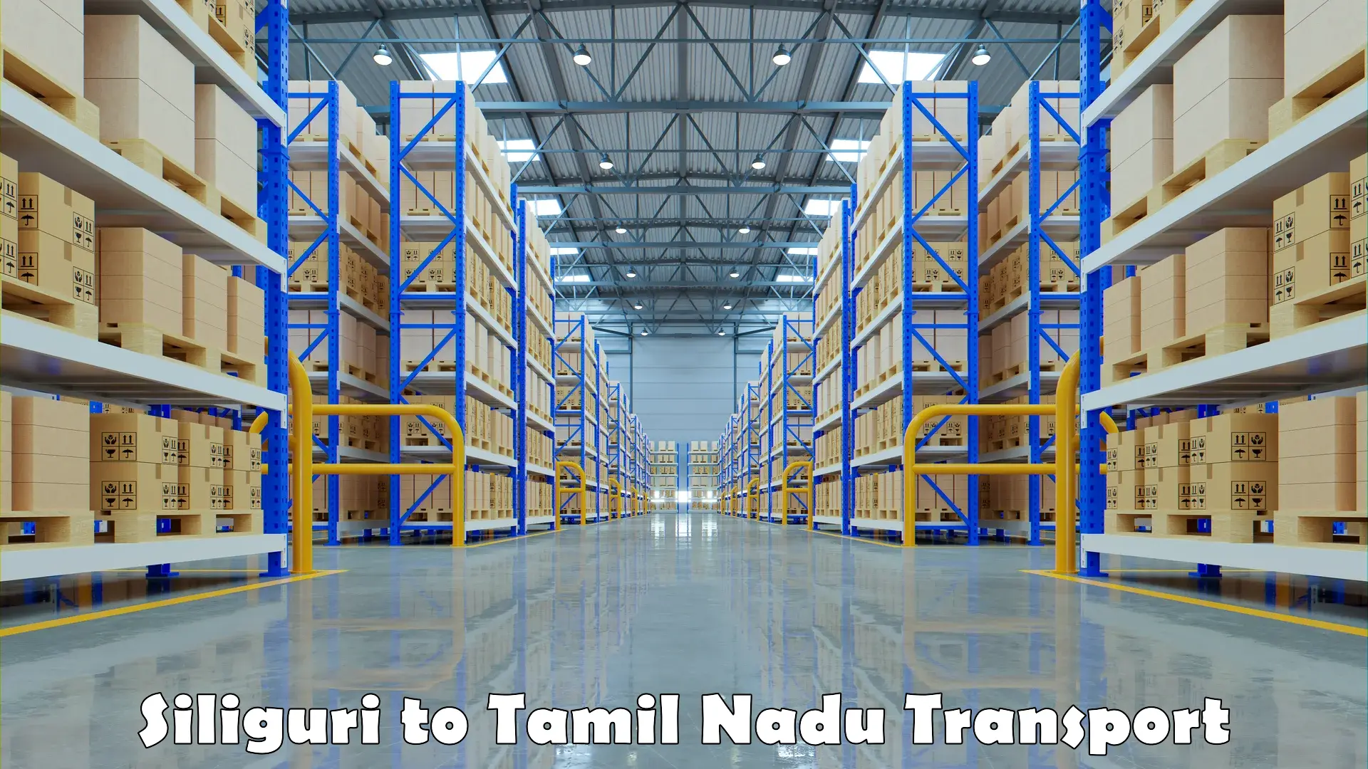 Cargo transportation services Siliguri to Nagercoil