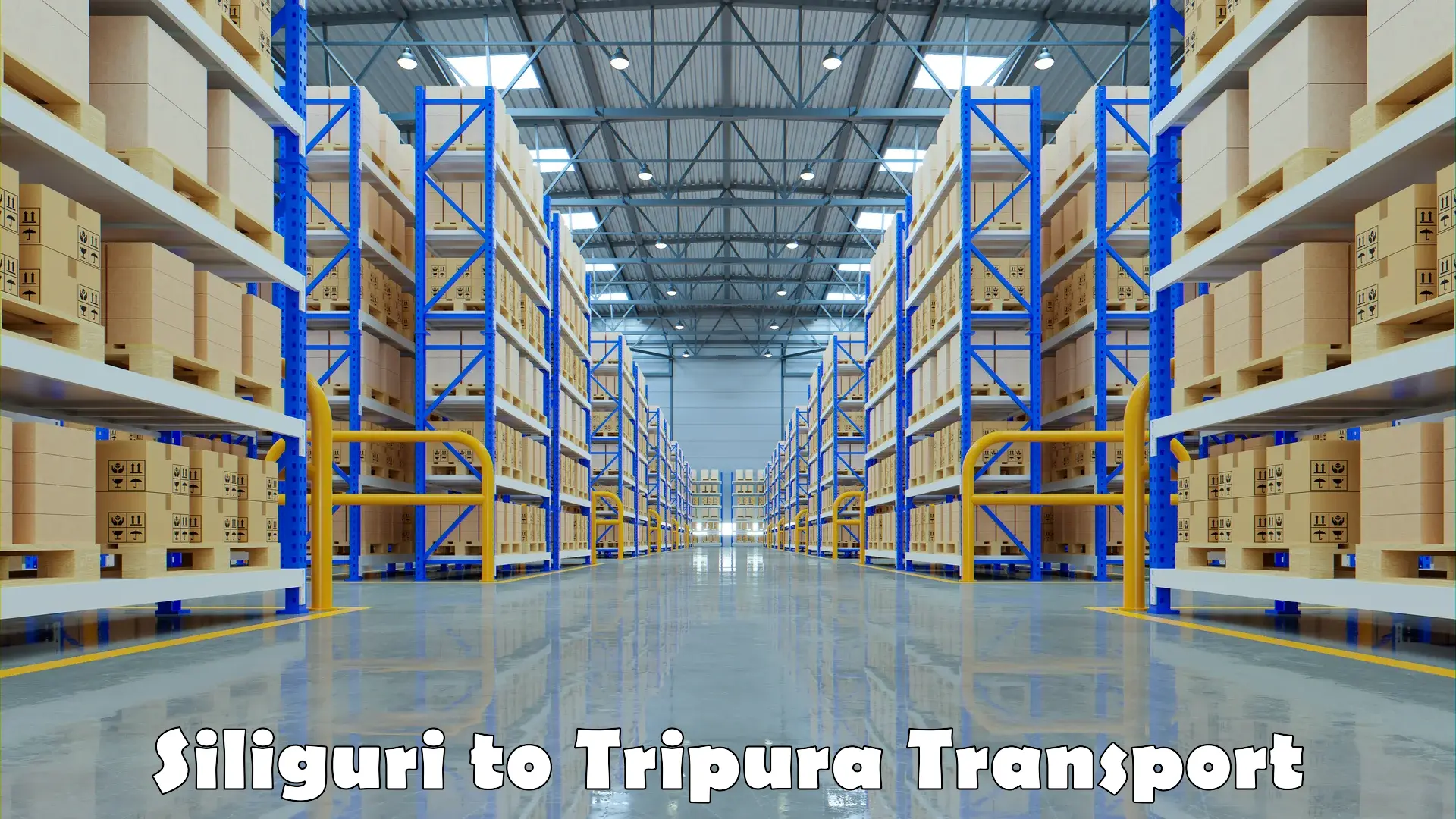 Truck transport companies in India Siliguri to Radhakishorepur