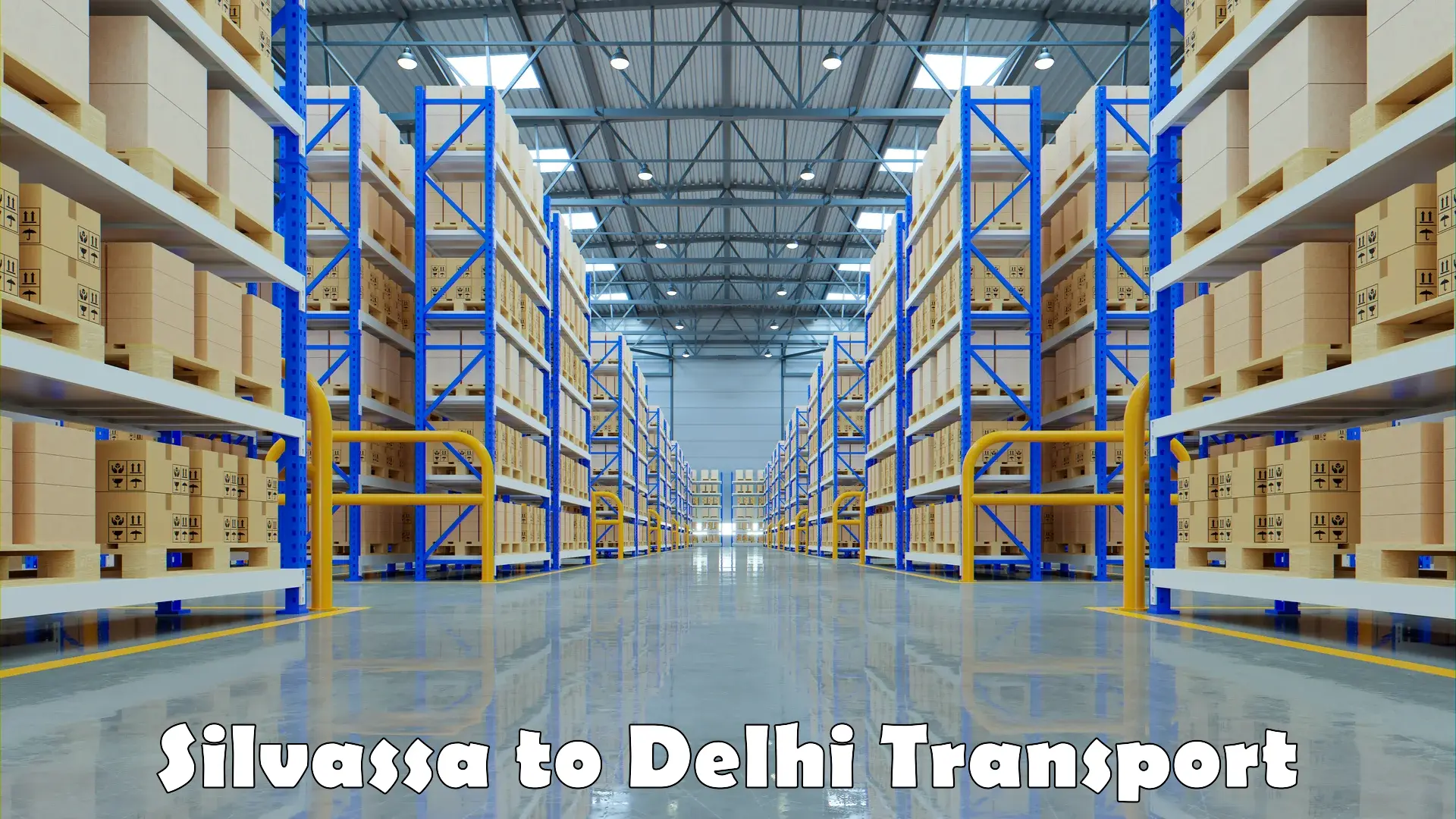 Shipping partner Silvassa to Delhi