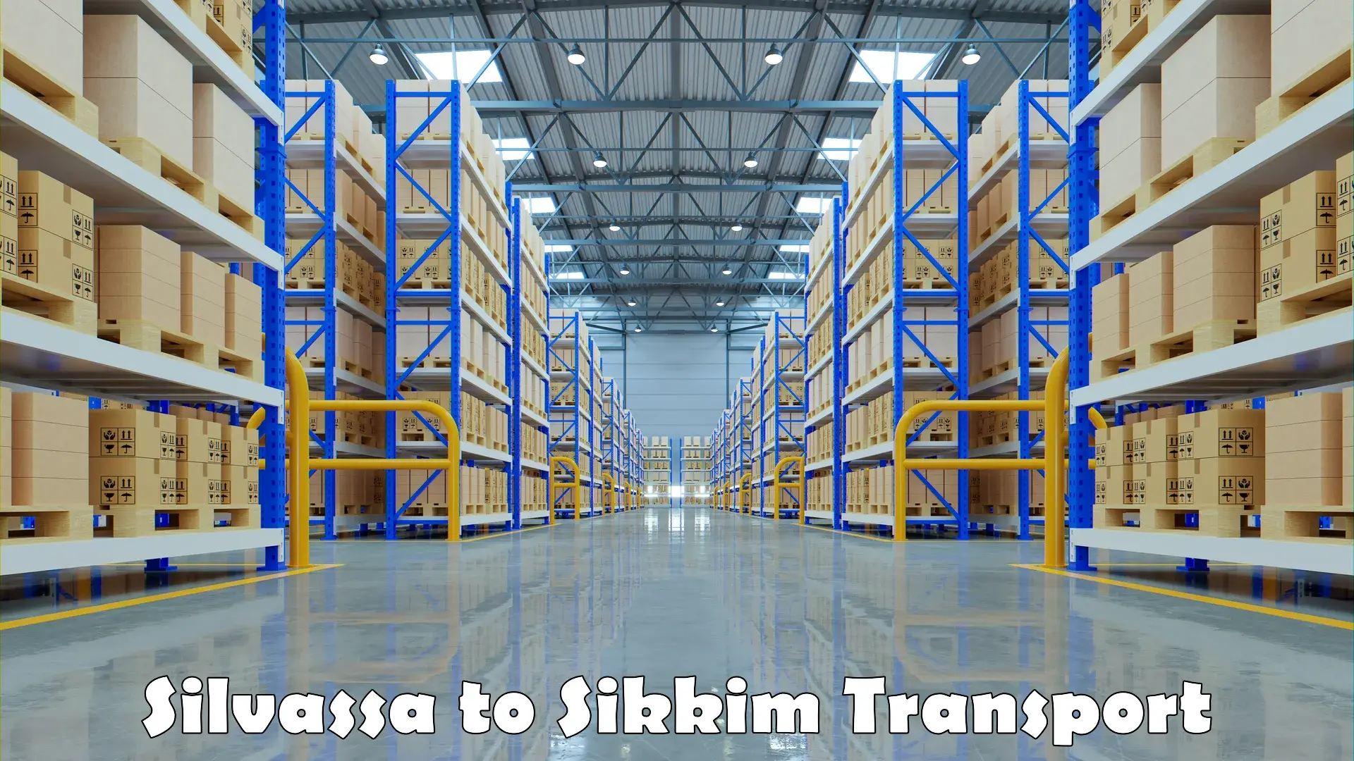 Air cargo transport services Silvassa to Singtam