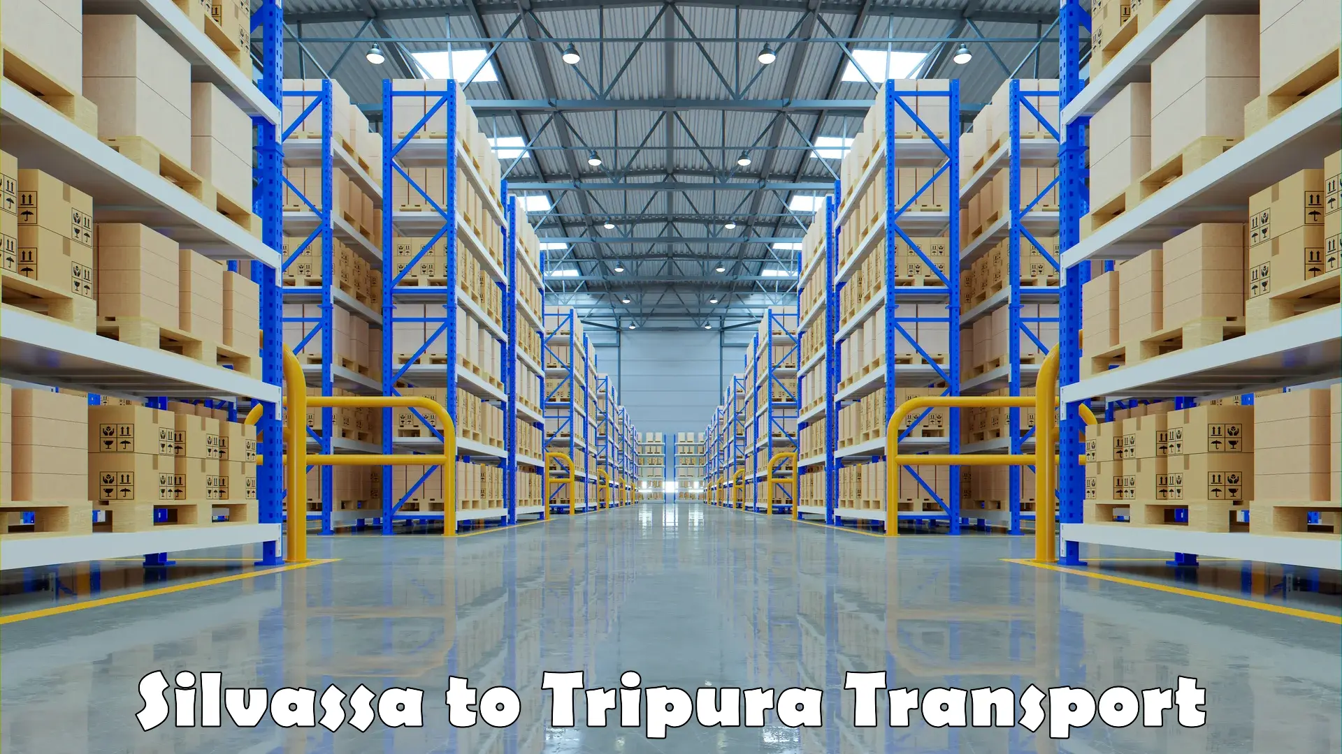 Package delivery services Silvassa to North Tripura