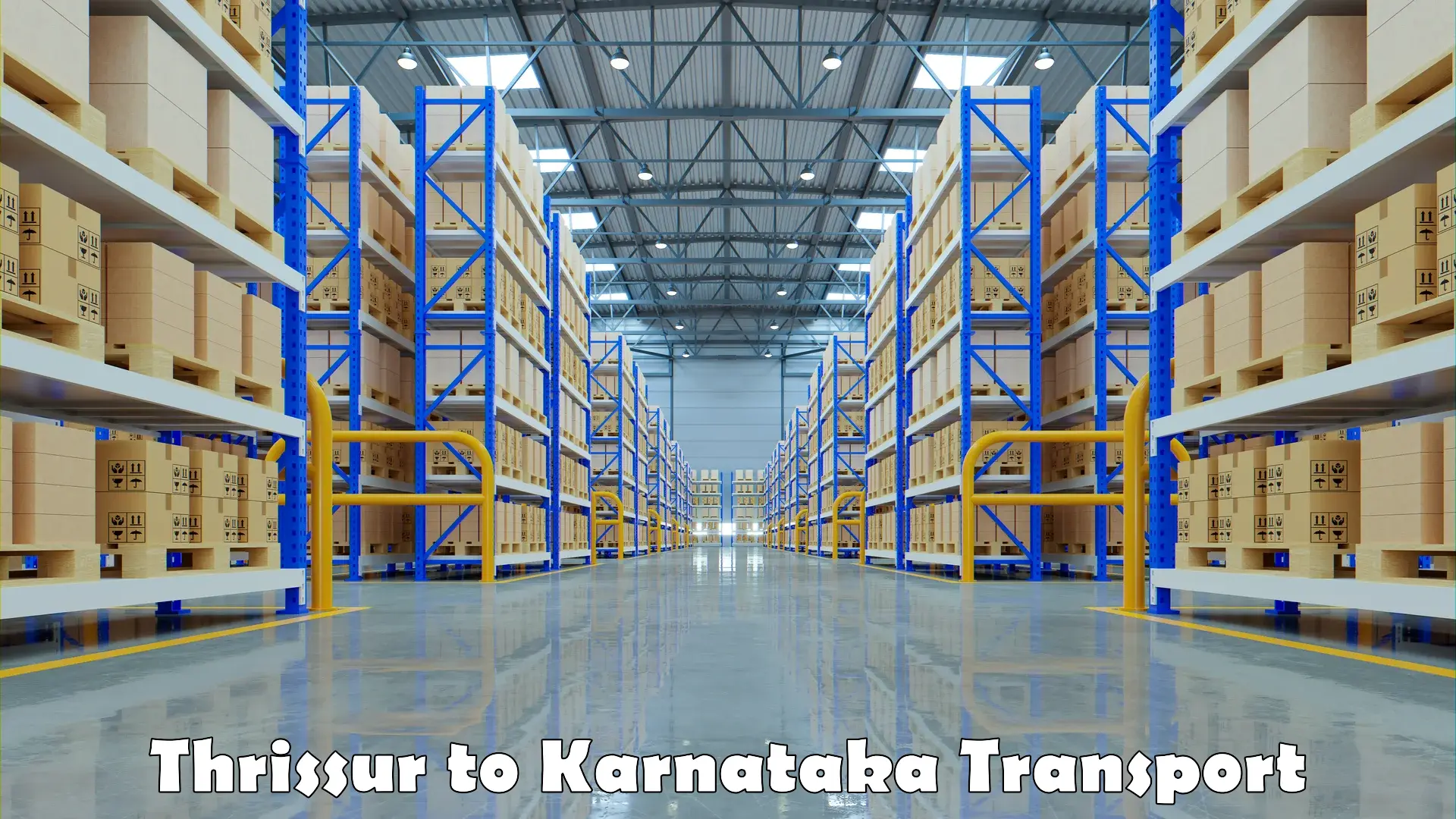 Air freight transport services Thrissur to Karnataka