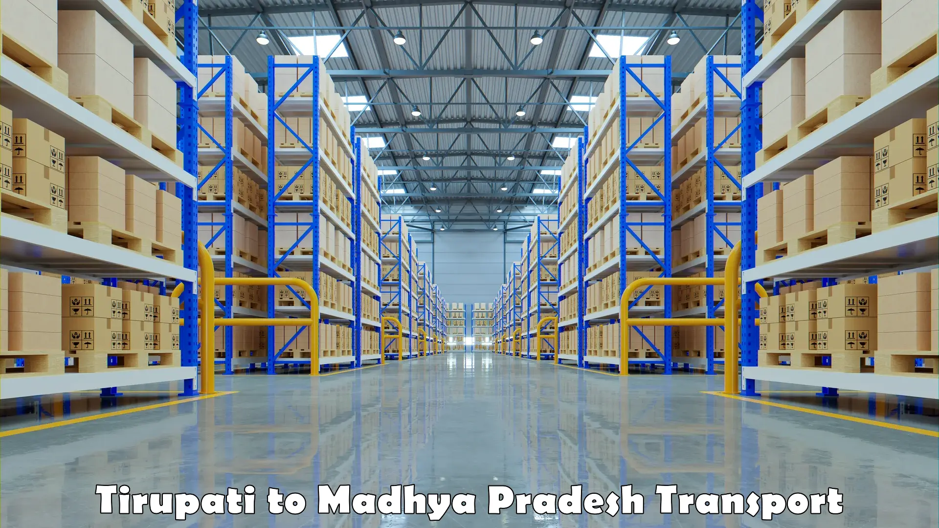 Two wheeler parcel service Tirupati to Madhya Pradesh