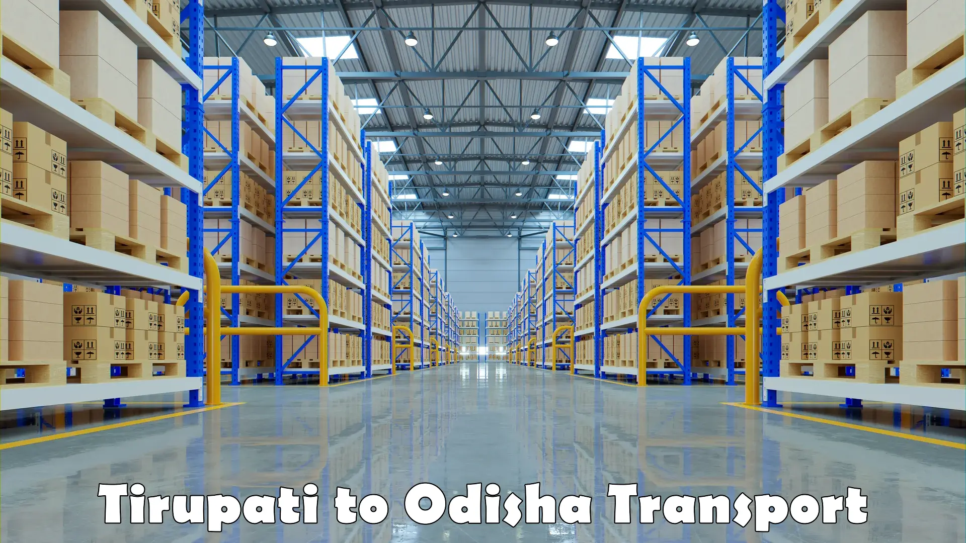 Cargo transport services Tirupati to Umerkote
