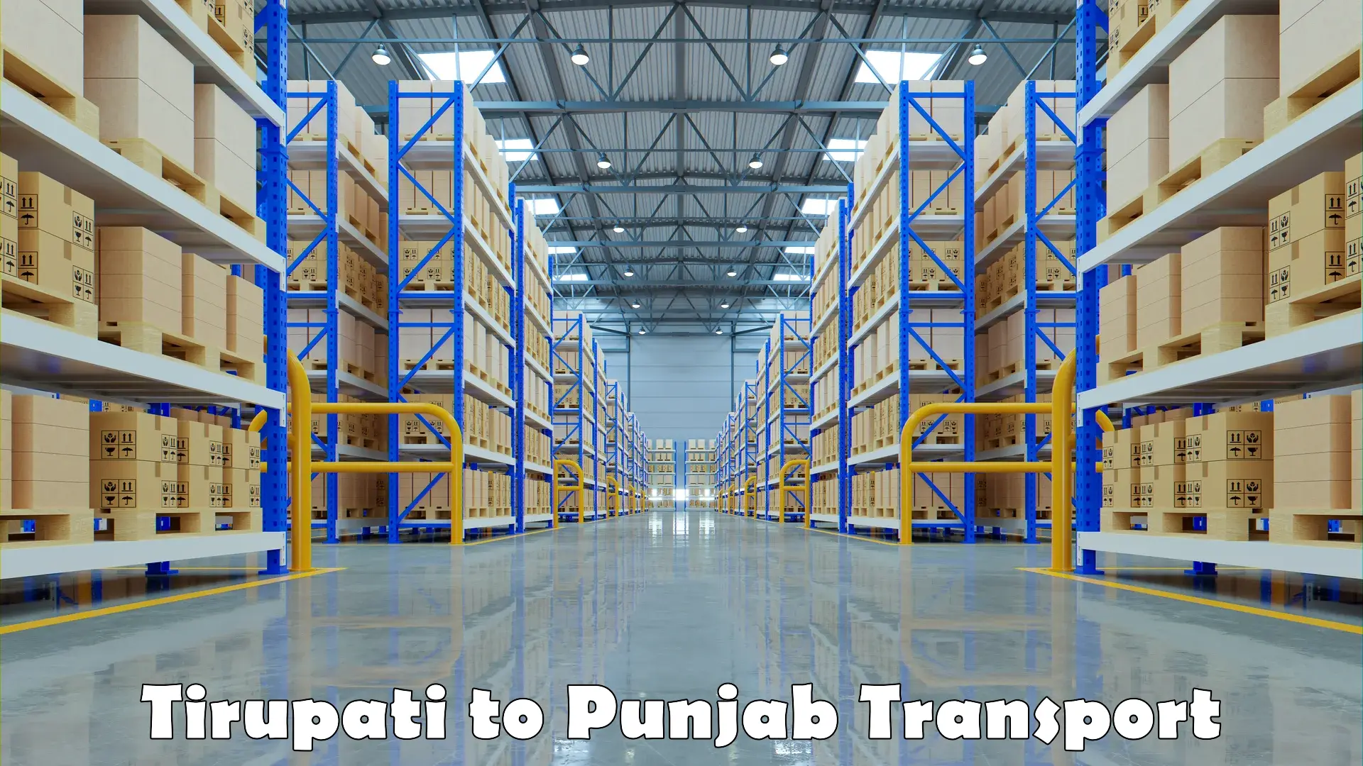 Transportation services Tirupati to Punjab