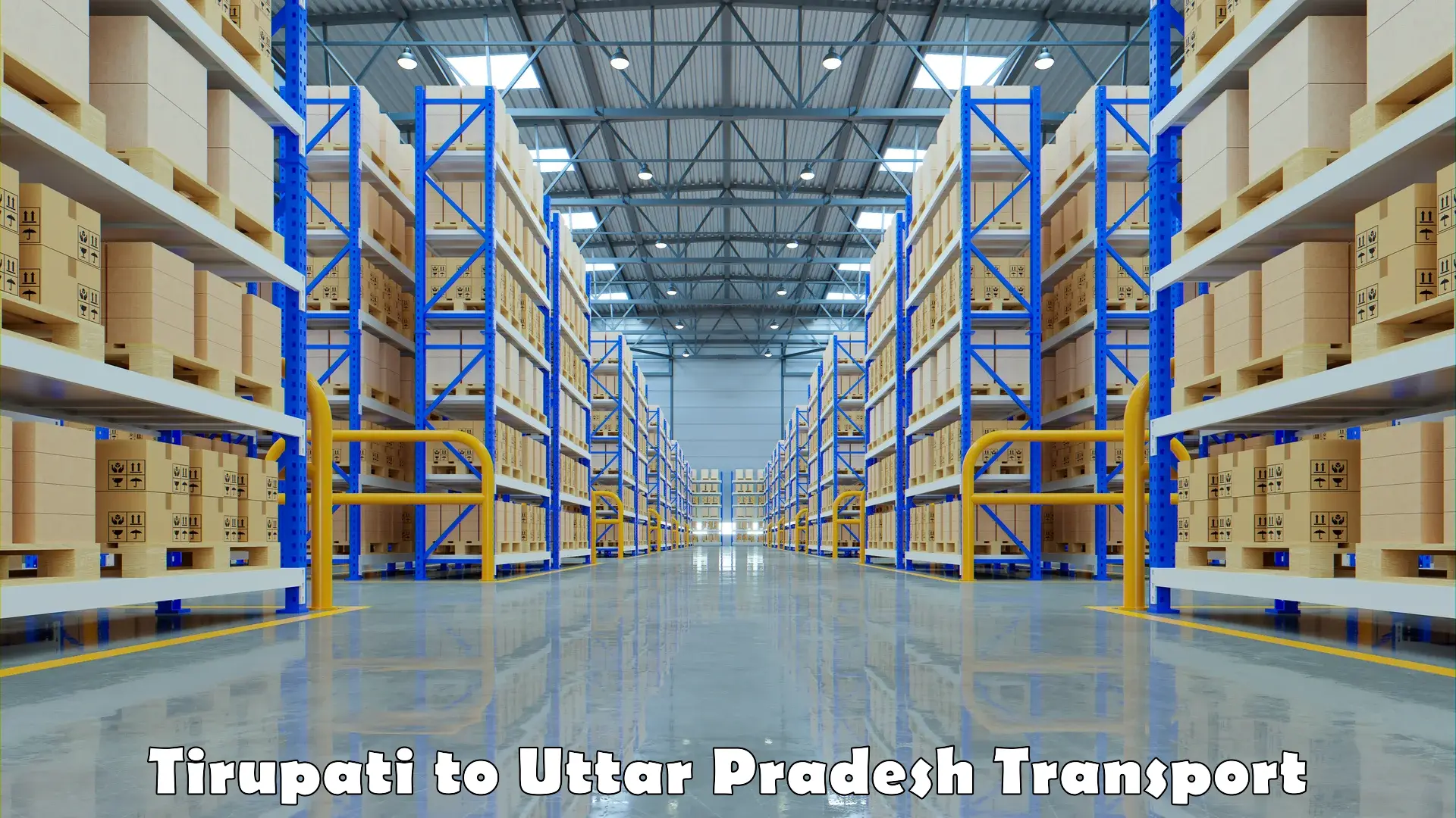 Road transport online services Tirupati to Uttar Pradesh