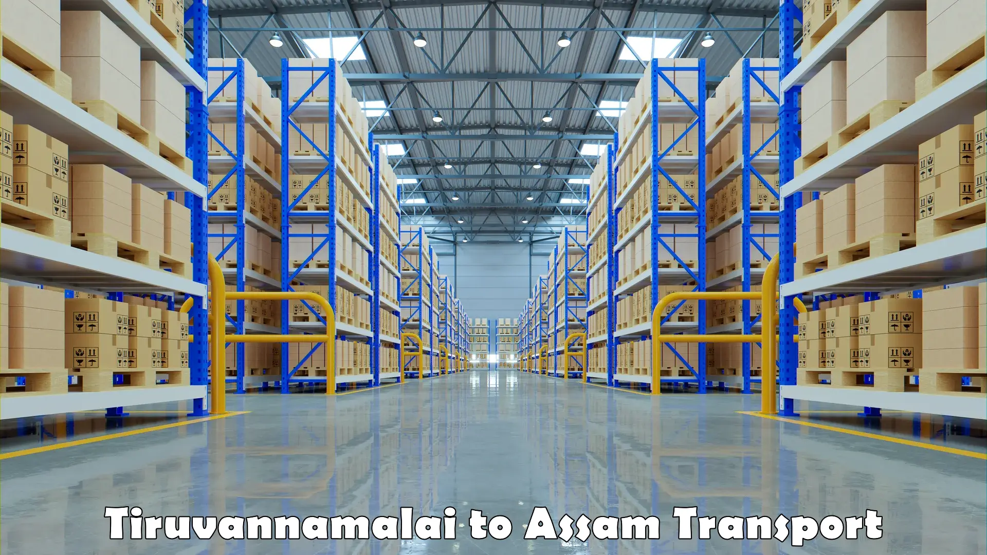 Goods delivery service Tiruvannamalai to Assam