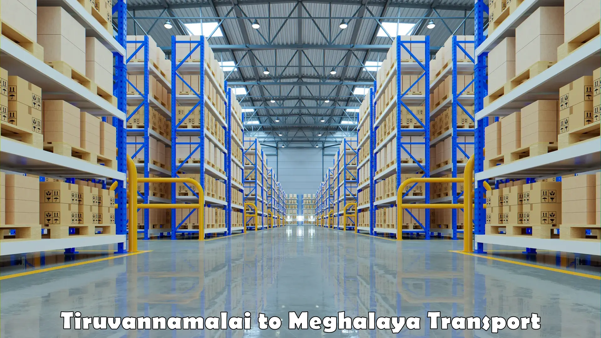 Shipping services Tiruvannamalai to Meghalaya