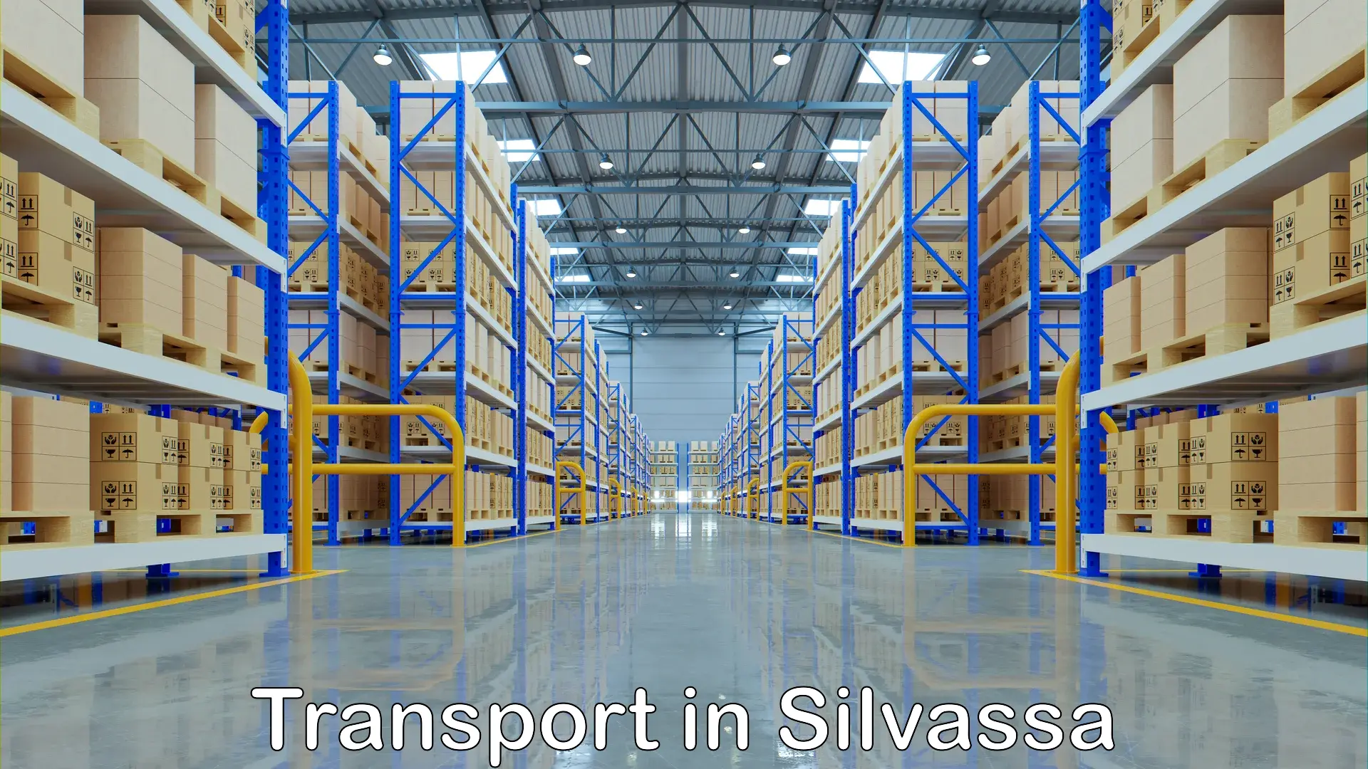 Parcel transport services in Silvassa