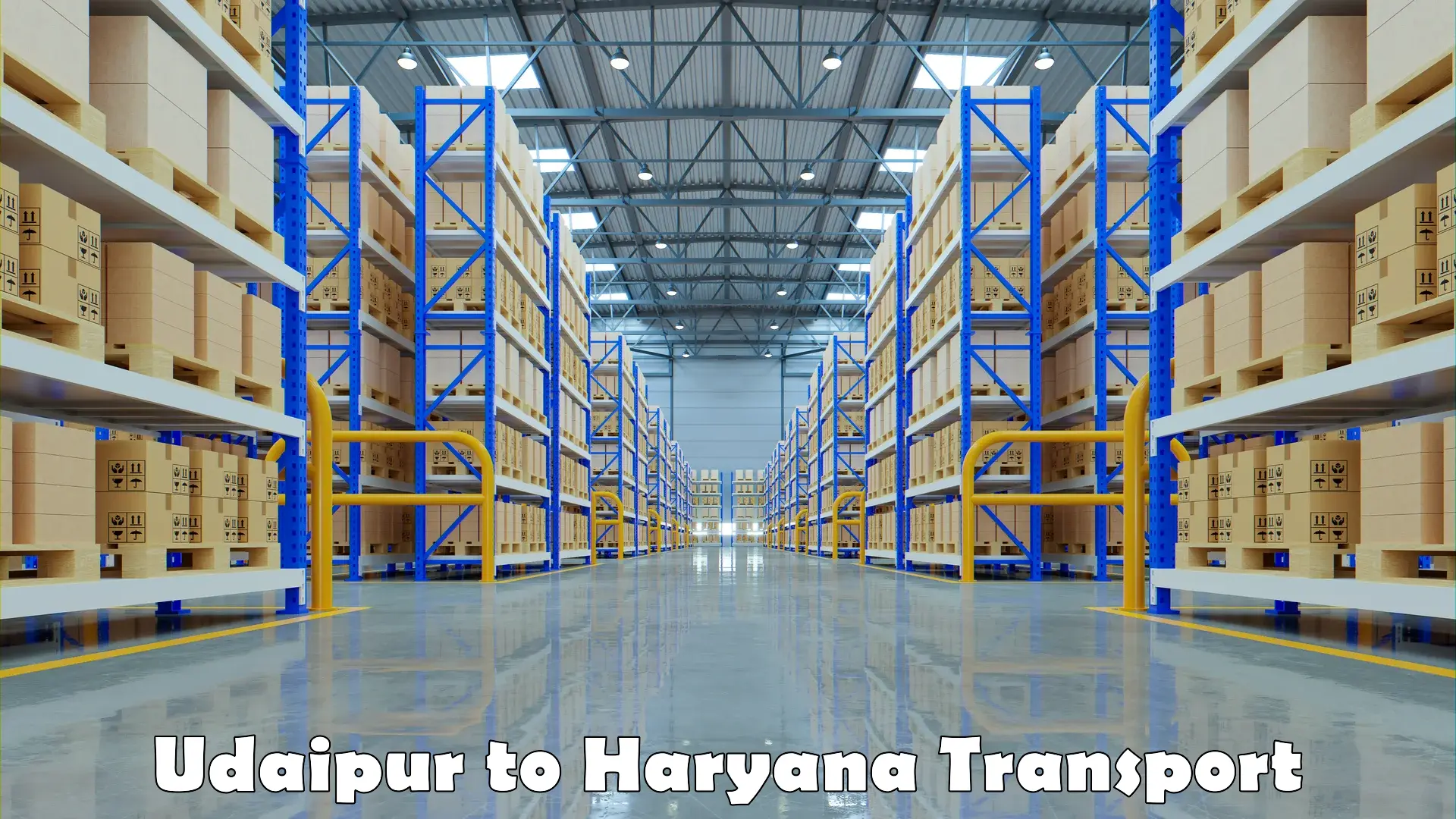 International cargo transportation services Udaipur to Narwana