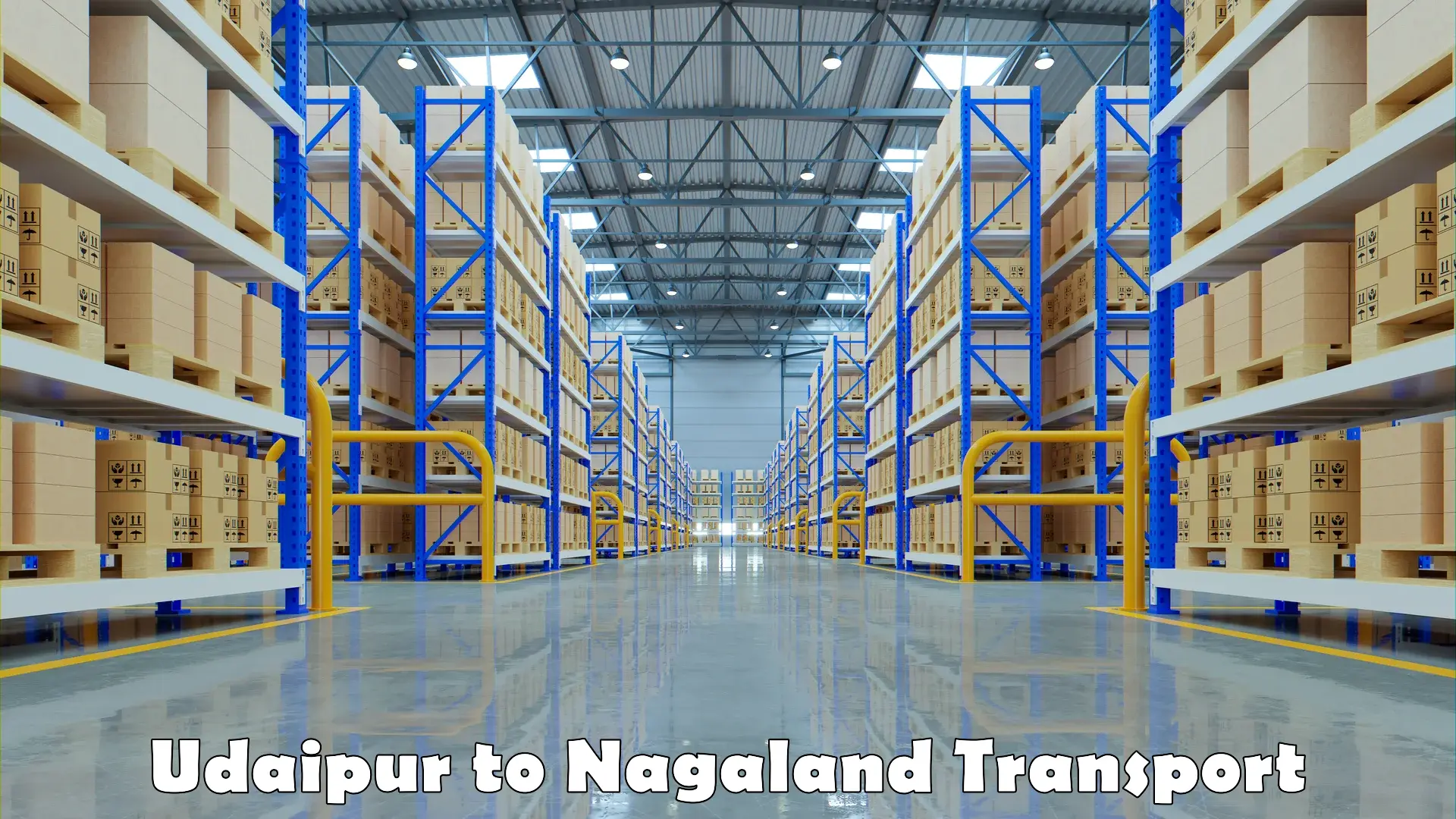 Bike shipping service Udaipur to NIT Nagaland