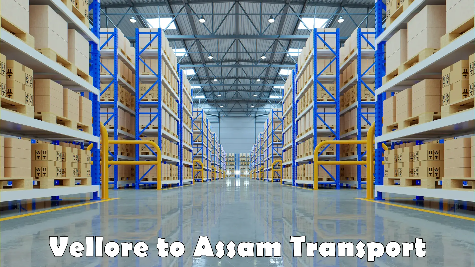 Land transport services Vellore to Assam