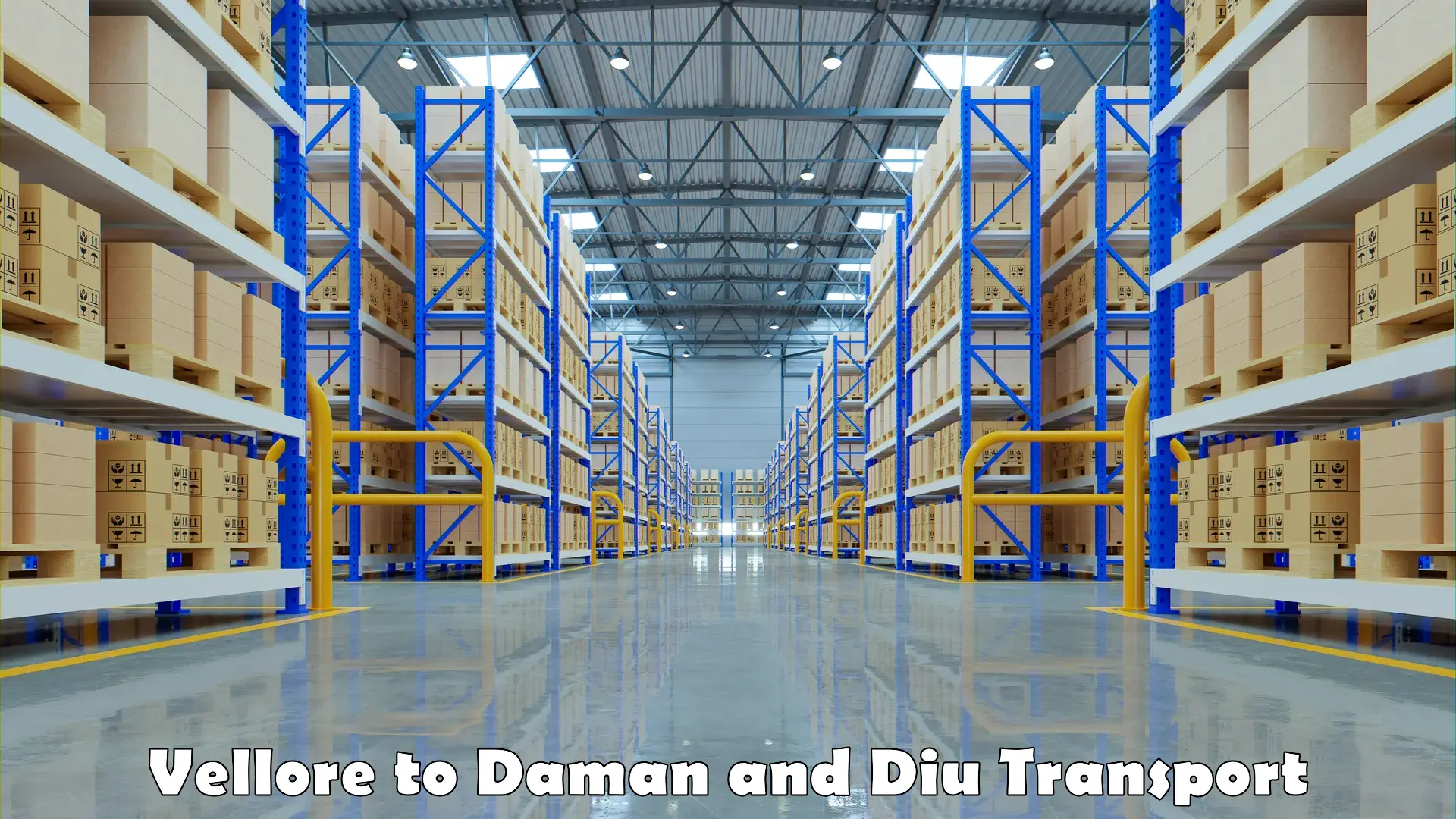 Road transport services Vellore to Daman and Diu