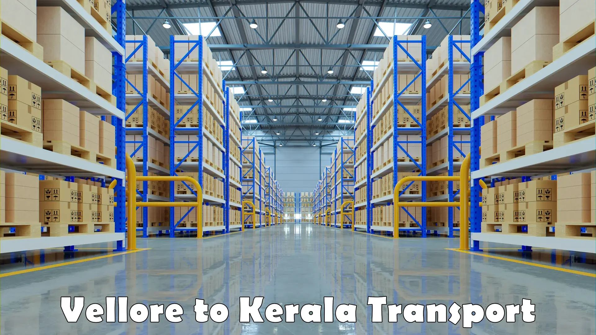 Interstate goods transport Vellore to Kerala