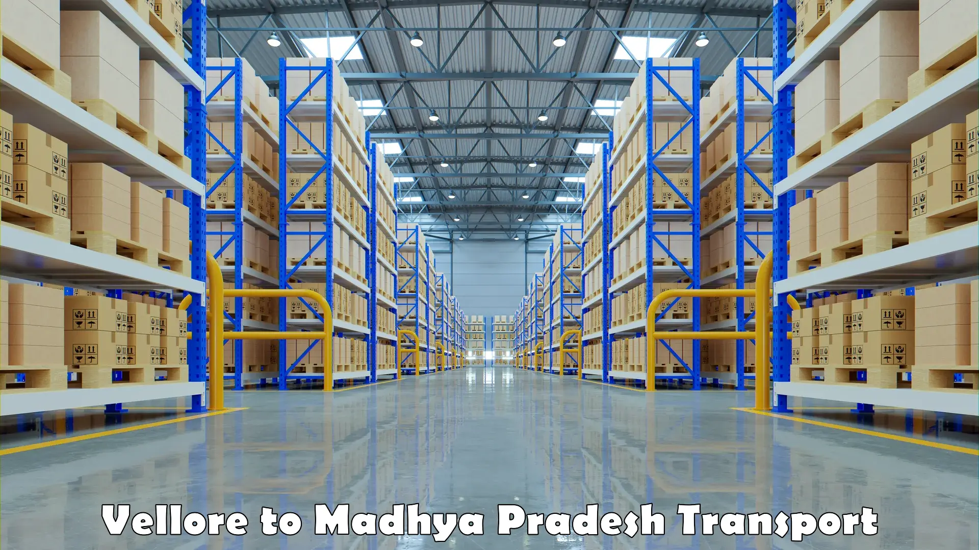 Transport in sharing Vellore to Madhya Pradesh