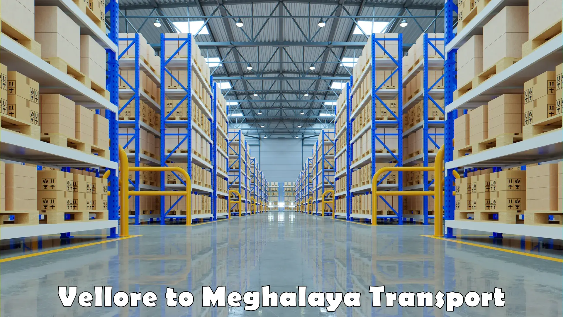 Daily parcel service transport Vellore to Meghalaya