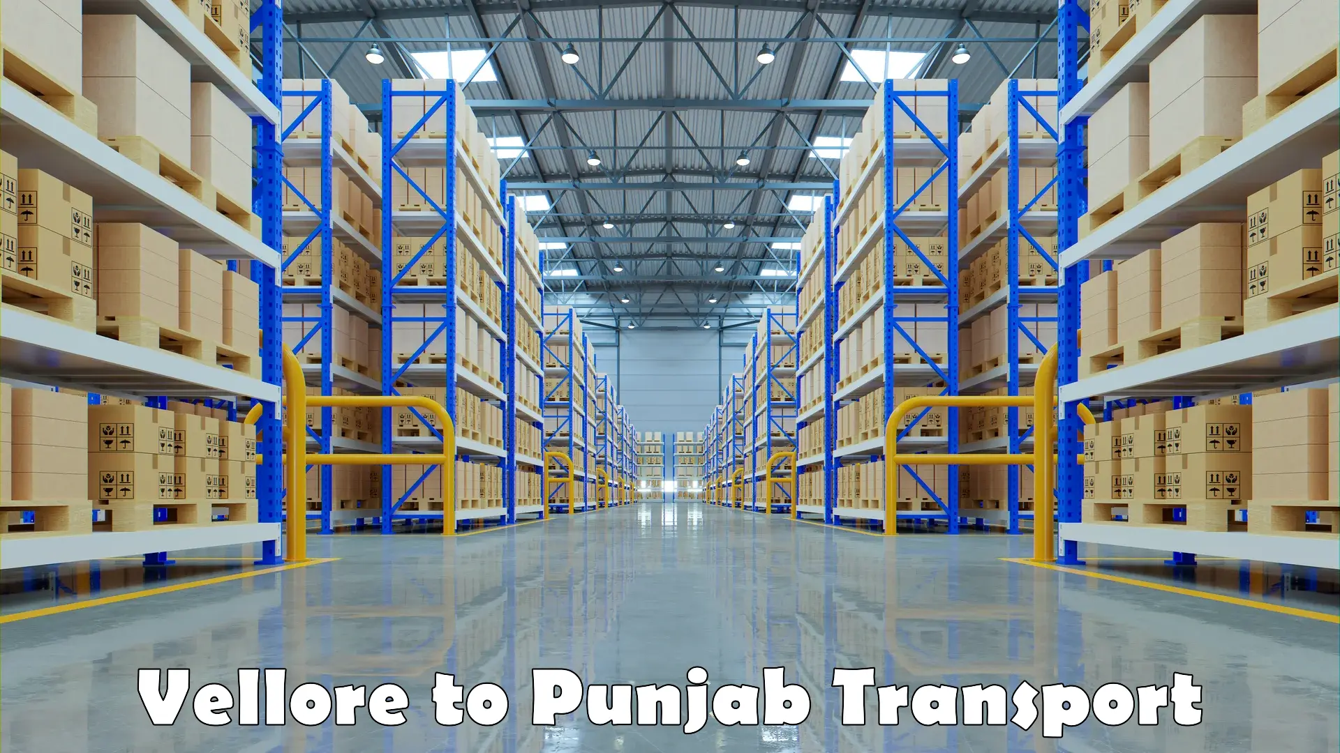 Furniture transport service in Vellore to Punjab